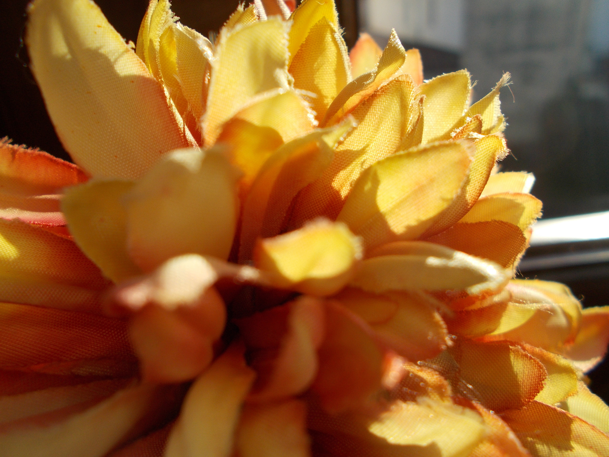 Nikon COOLPIX L27 sample photo. Imitazione photography