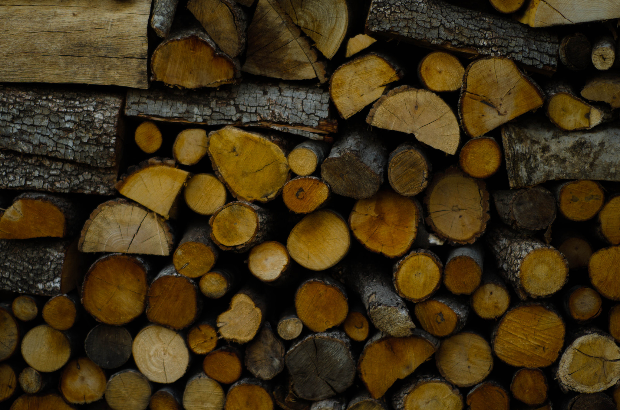 Nikon D5100 + Nikon AF Nikkor 50mm F1.8D sample photo. Wood photography