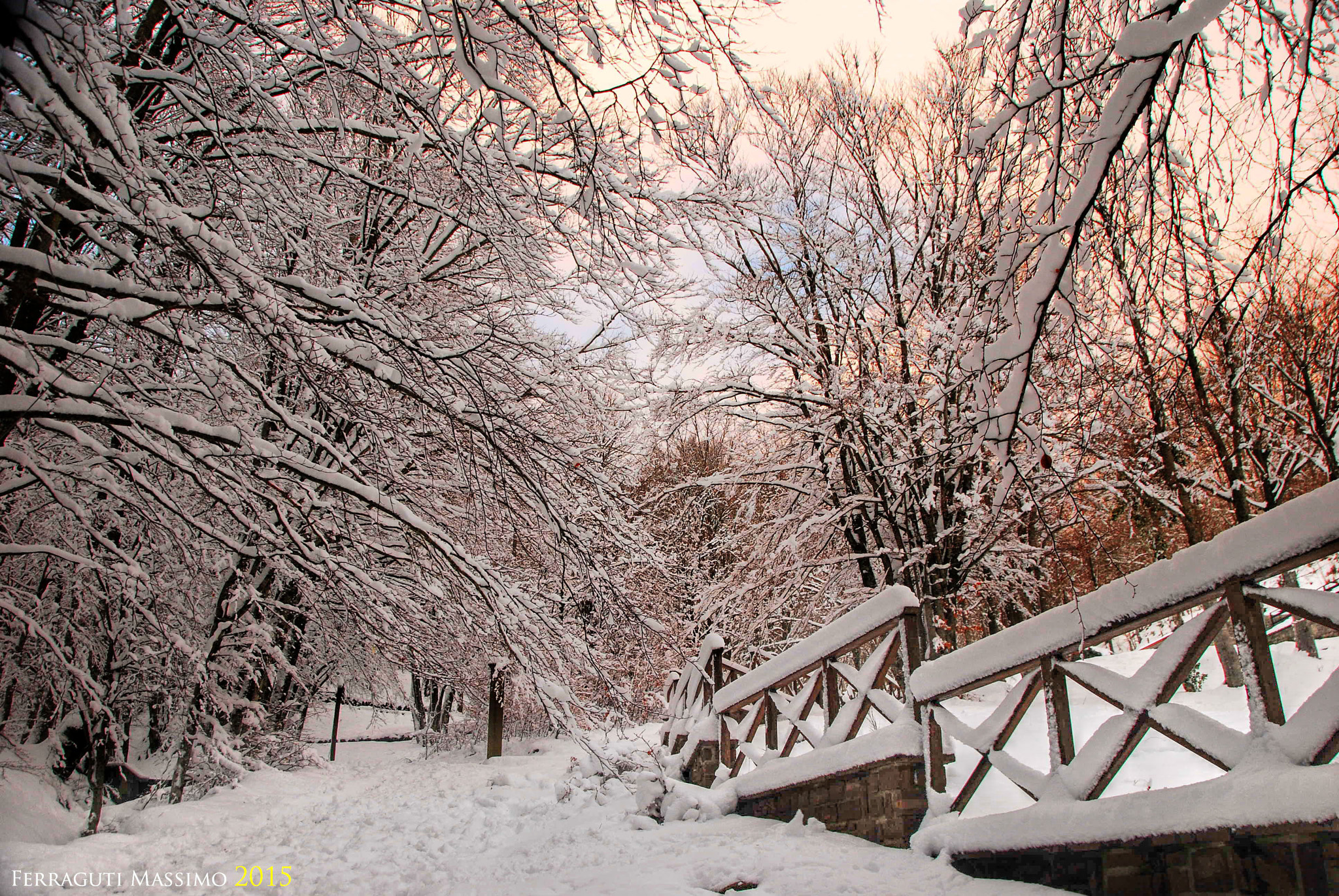 18,0-200,0 mm f/3,5-5,6 sample photo. ...snow... photography