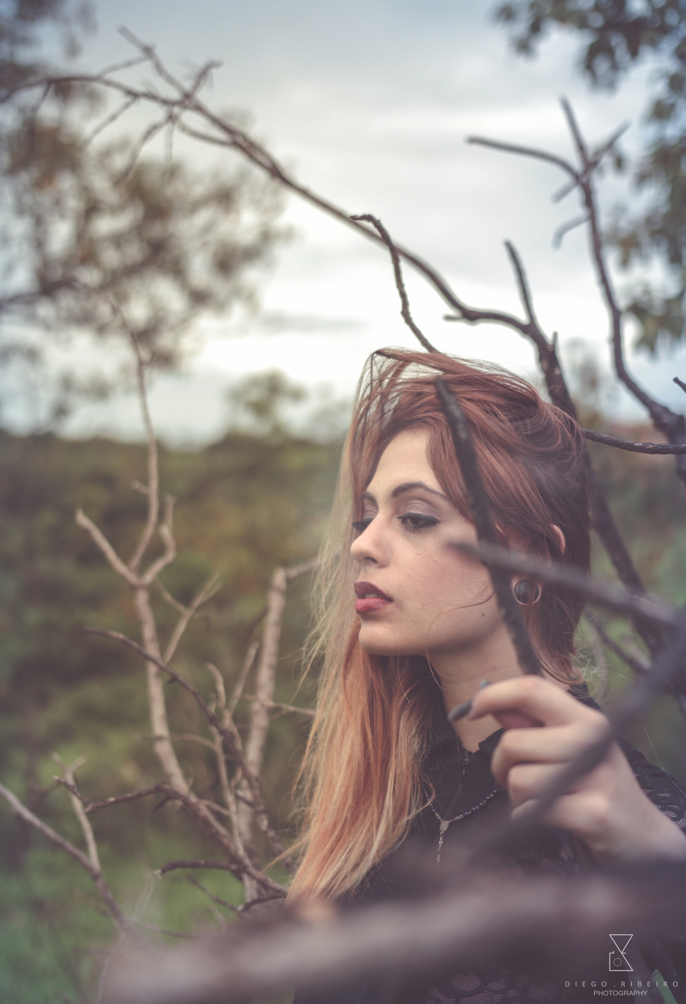 Sigma 18-35mm f/1.8 DC HSM sample photo. Briza photography