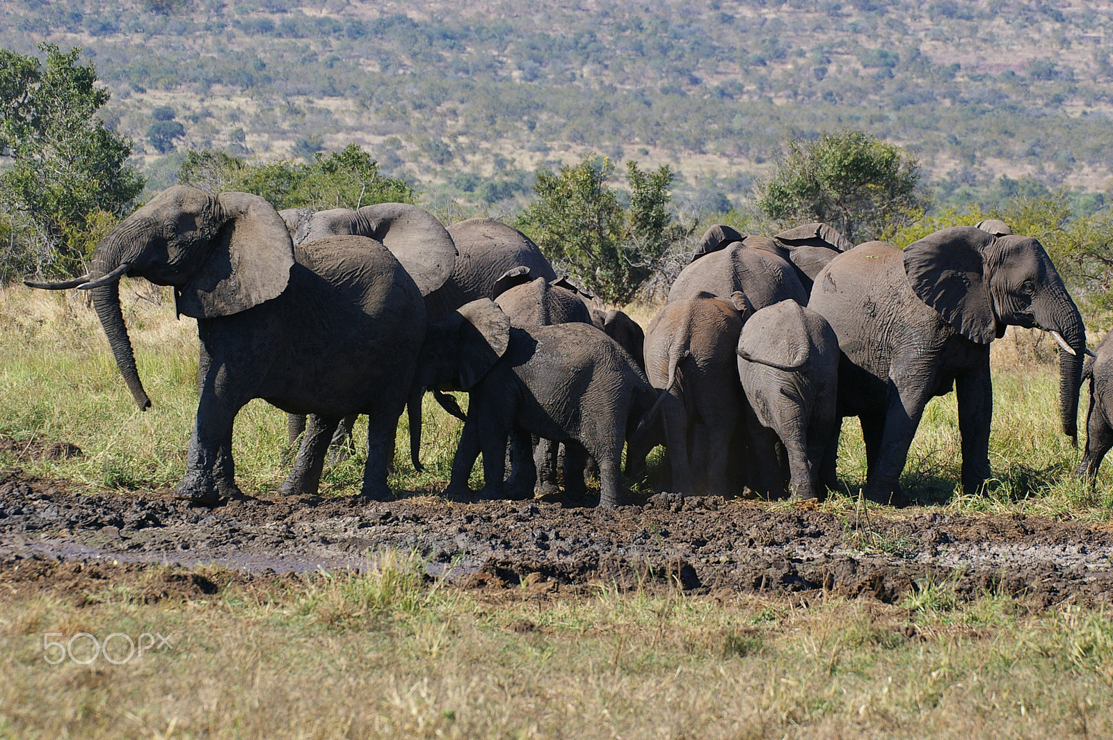 Pentax *ist DL + Sigma sample photo. Africa's life photography