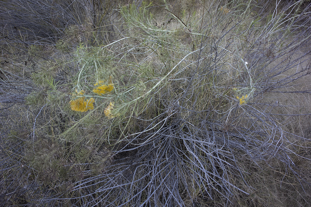 Sony Alpha NEX-7 + Sony E 20mm F2.8 sample photo. Deer creek, utah photography