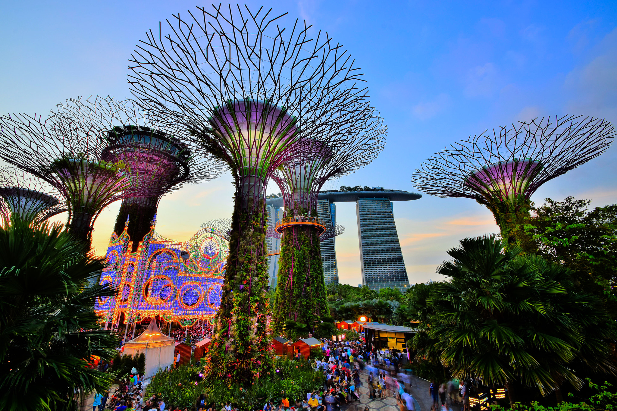 Nikon D5300 + Nikon PC-E Nikkor 24mm F3.5D ED Tilt-Shift sample photo. Super trees during sunset photography