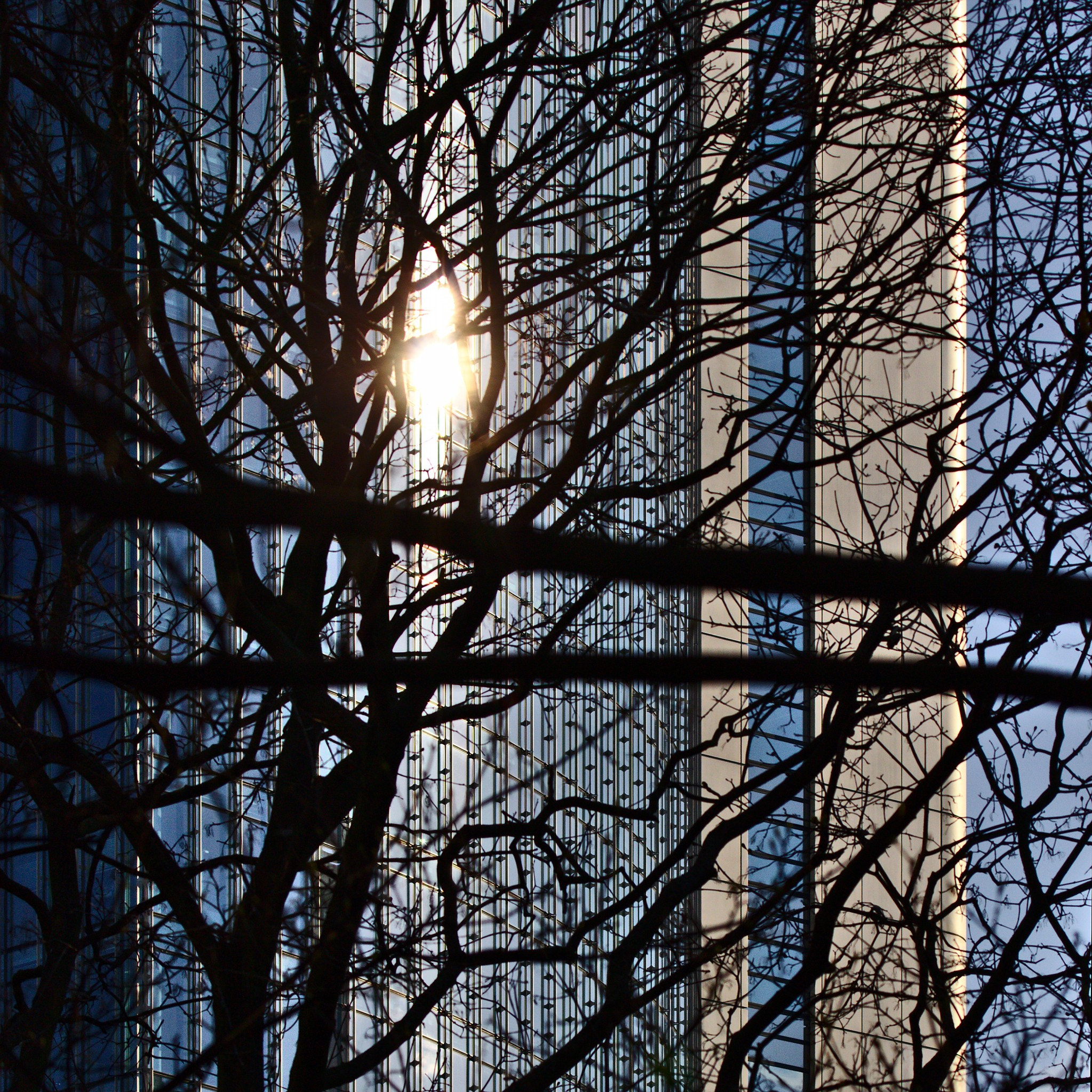 Canon EF 100-400mm F4.5-5.6L IS II USM sample photo. Verästelung photography