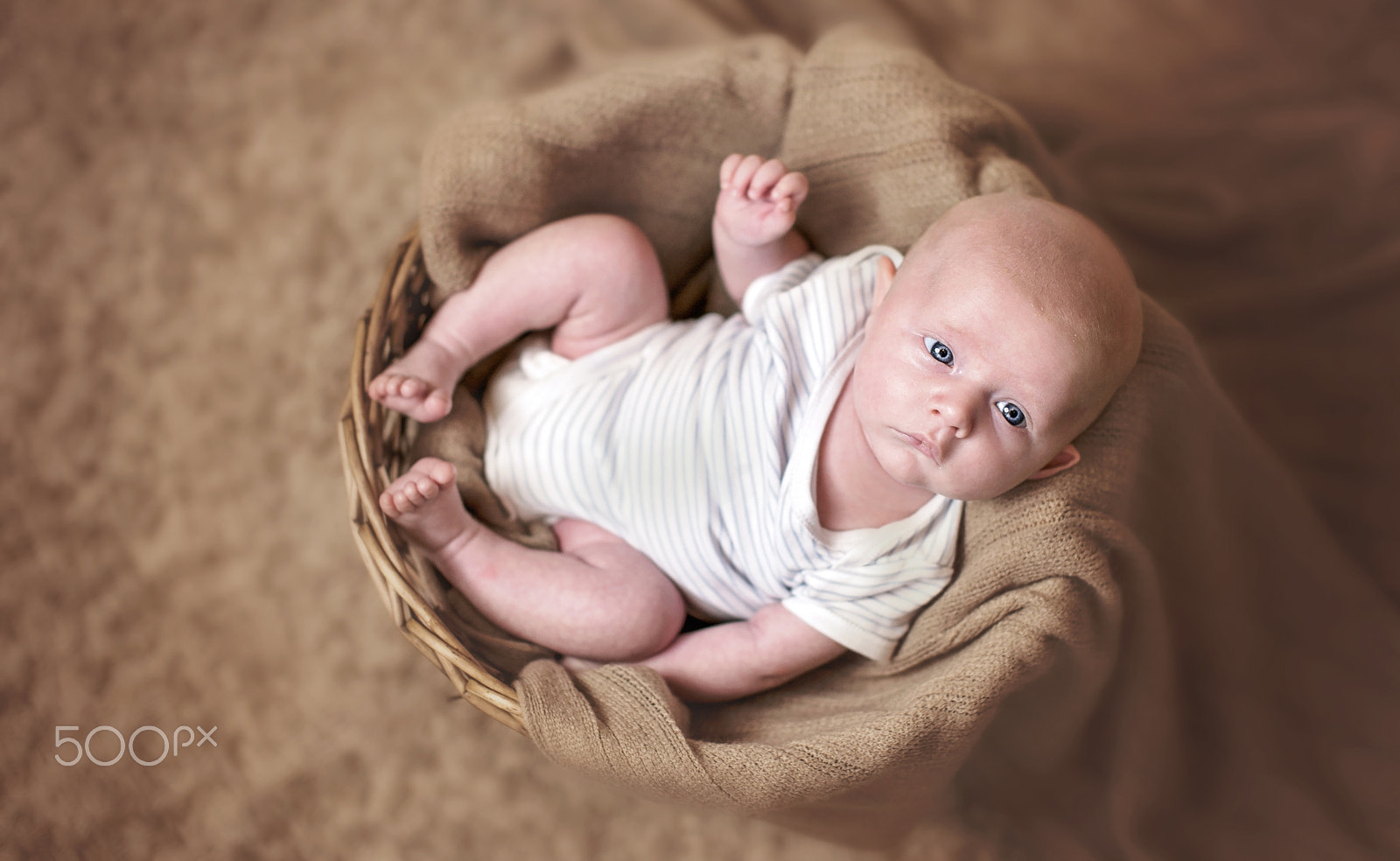Sigma 50mm F1.4 EX DG HSM sample photo. Baby in the basket photography