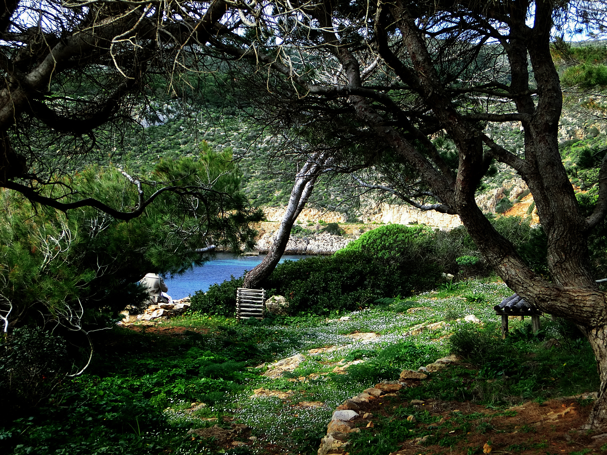 CASIO EX-H30 sample photo. Locus amoenus photography