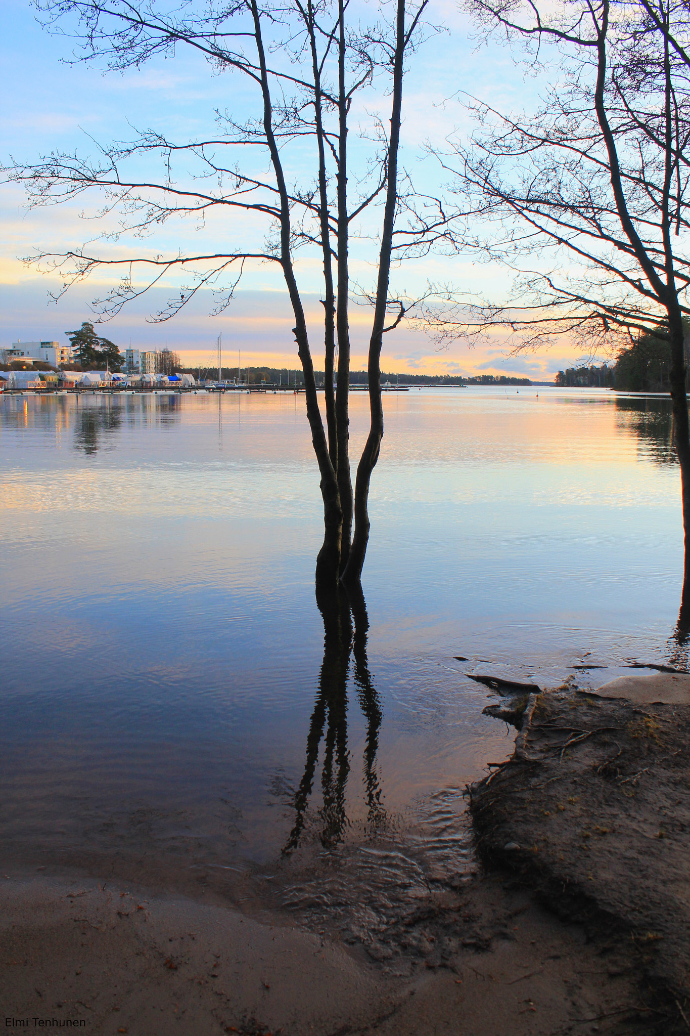 Canon EF-S 18-55mm F3.5-5.6 IS sample photo. Deep roots photography