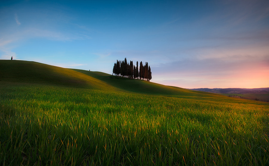 Nikon AF-S Nikkor 17-35mm F2.8D ED-IF sample photo. Tuscan light photography