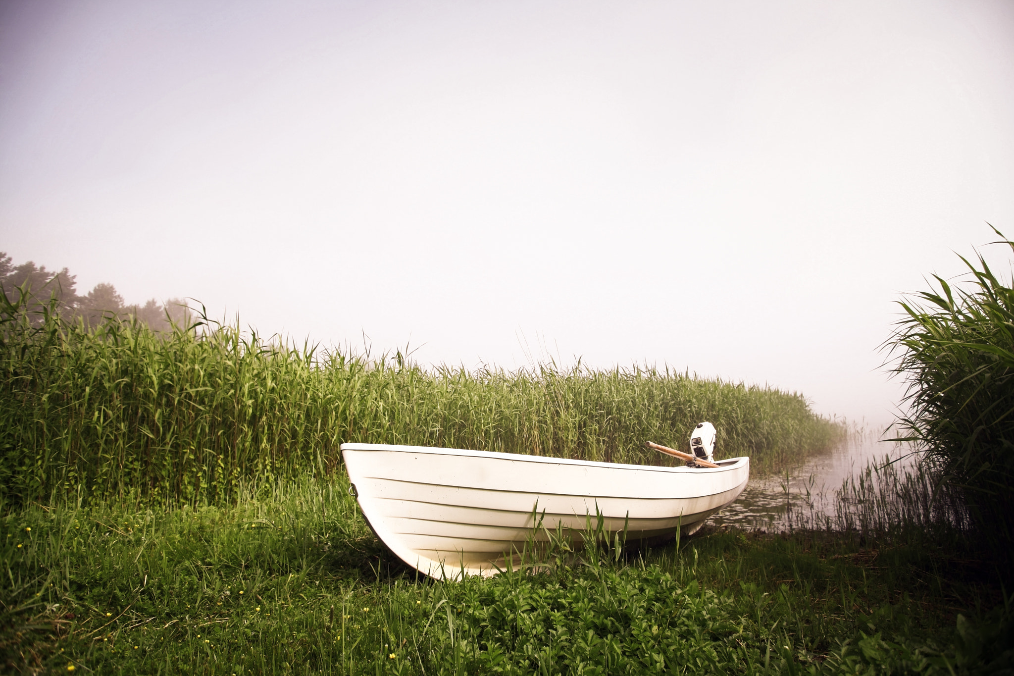 Canon EF 20-35mm f/2.8L sample photo. Boat on a foggy day photography