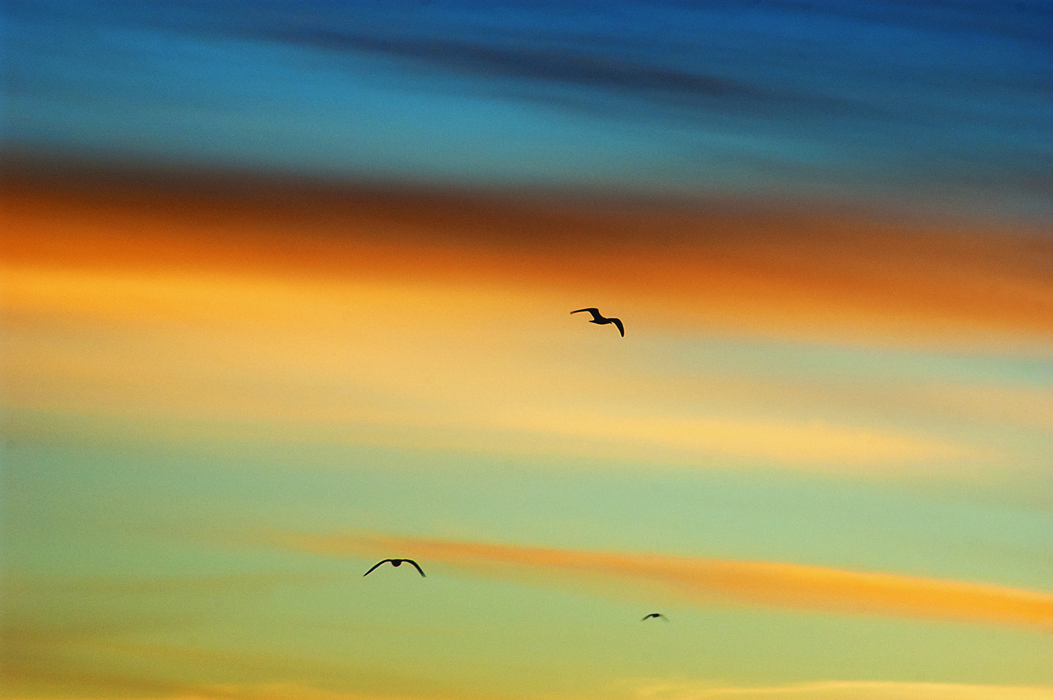 Nikon D70 sample photo. Sunset photography