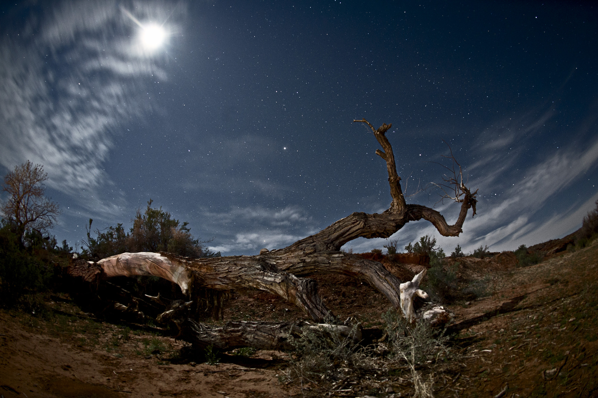 Nikon D4 + Nikon AF Fisheye-Nikkor 16mm F2.8D sample photo. Utah, usa photography