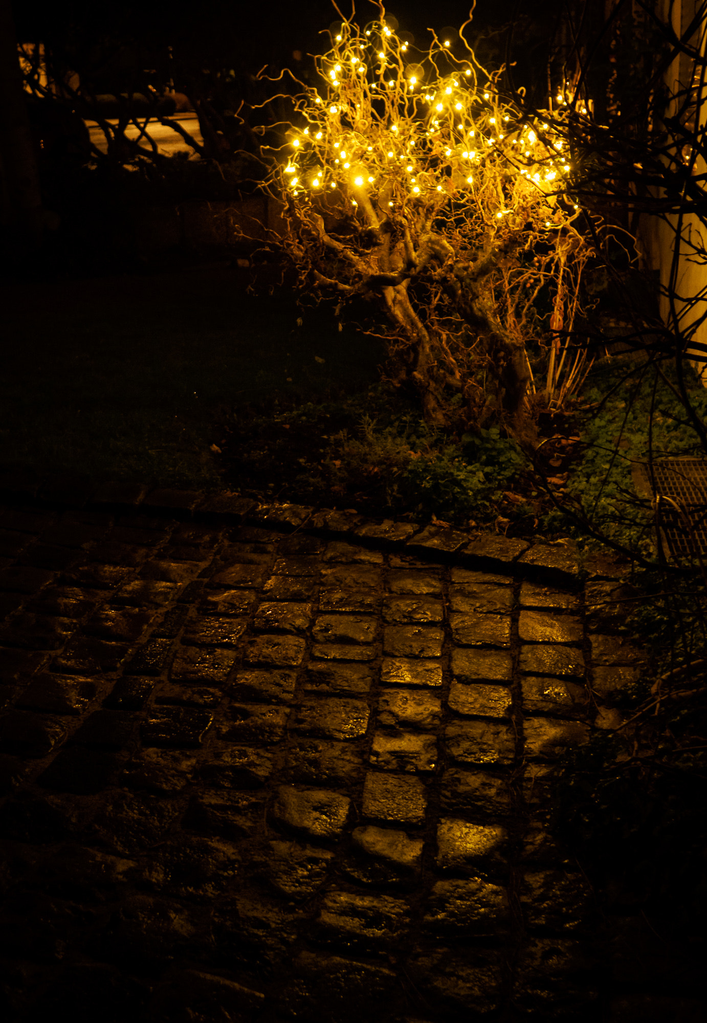 Olympus OM-D E-M1 + Sigma 19mm F2.8 DN Art sample photo. 21/365 - rainy lights photography