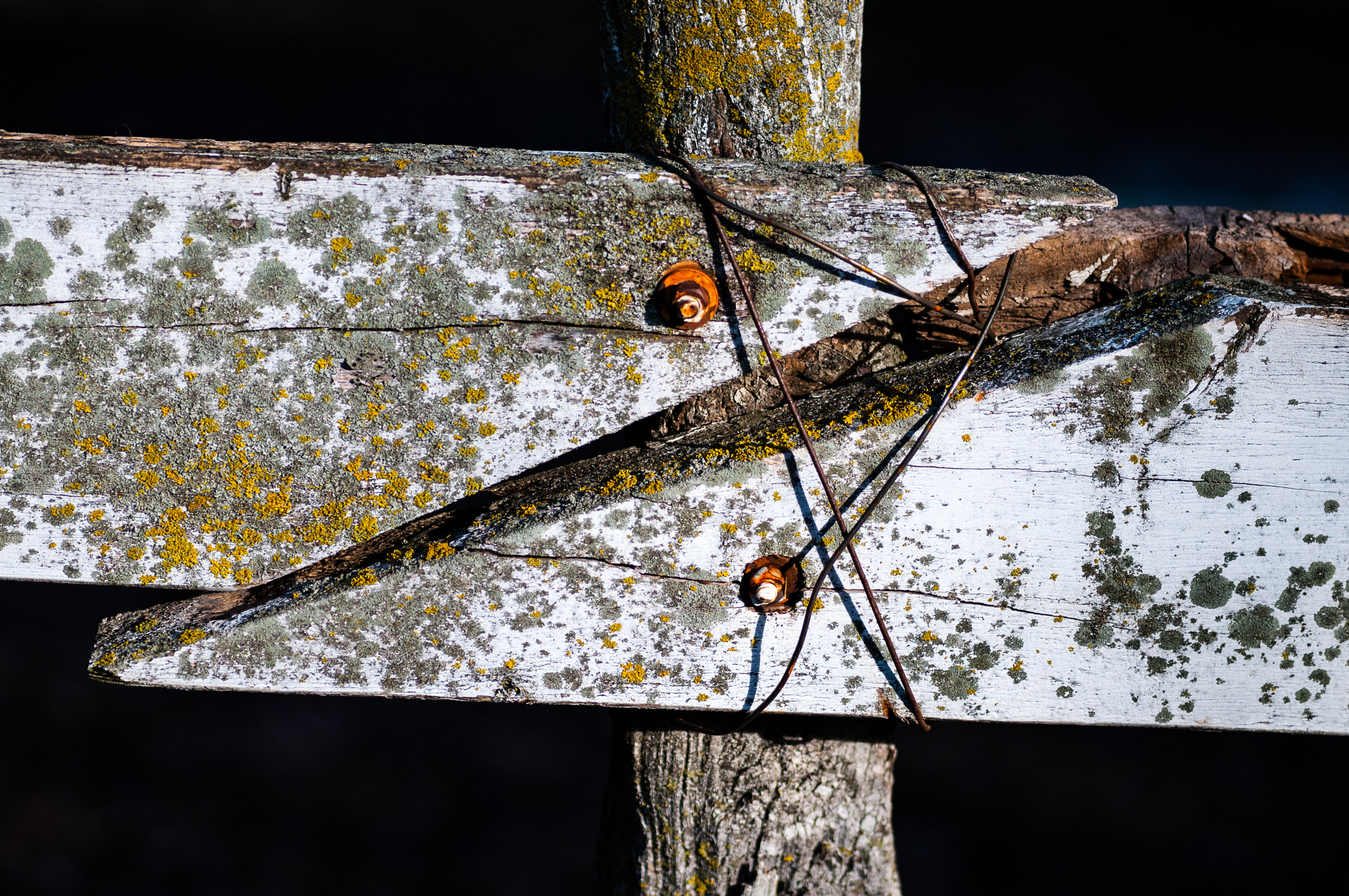 Nikon D300S + Sigma 70mm F2.8 EX DG Macro sample photo. Old fence at sand creek trail photography