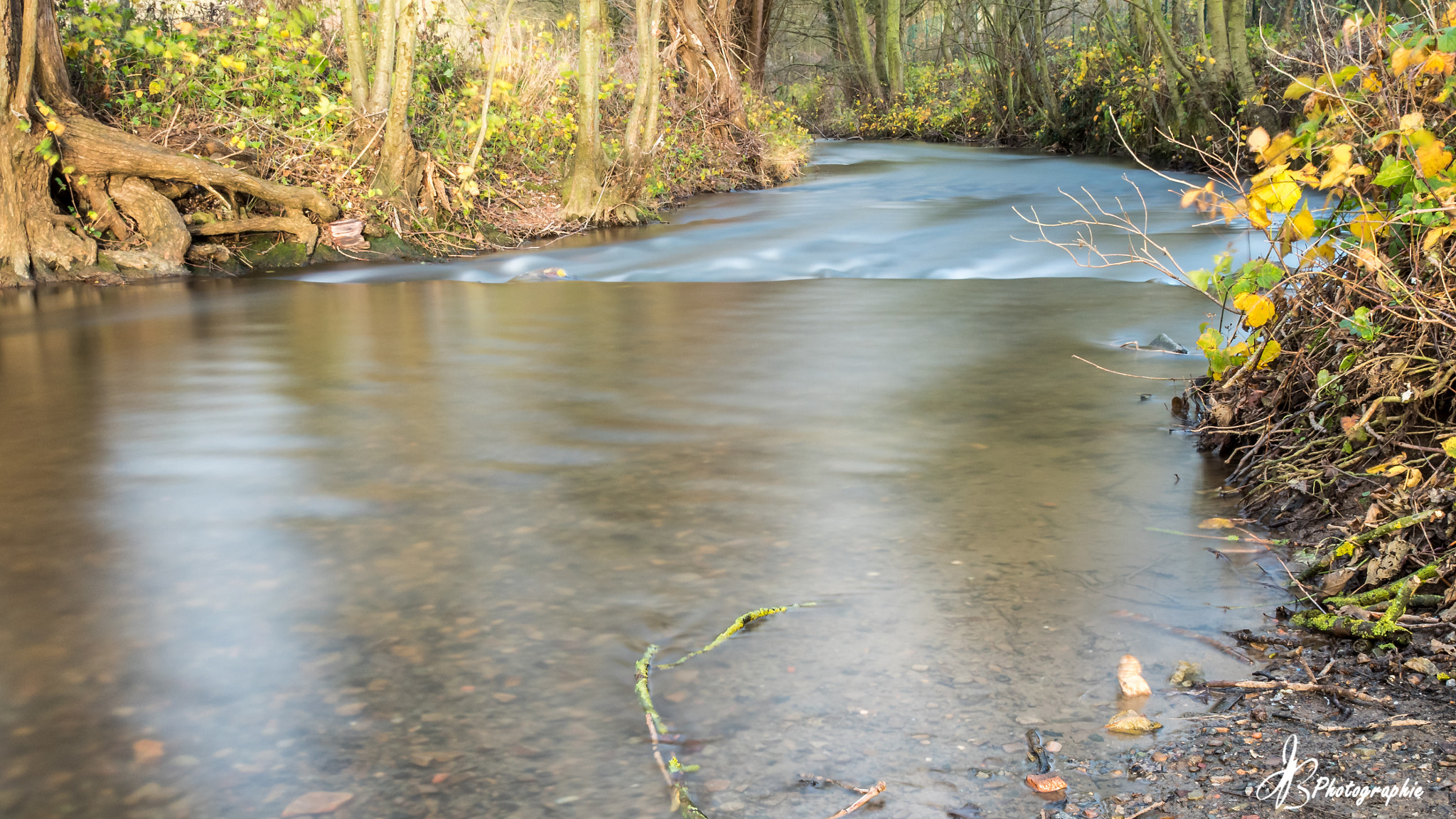 Olympus OM-D E-M5 II + Sigma 19mm F2.8 DN Art sample photo. River photography