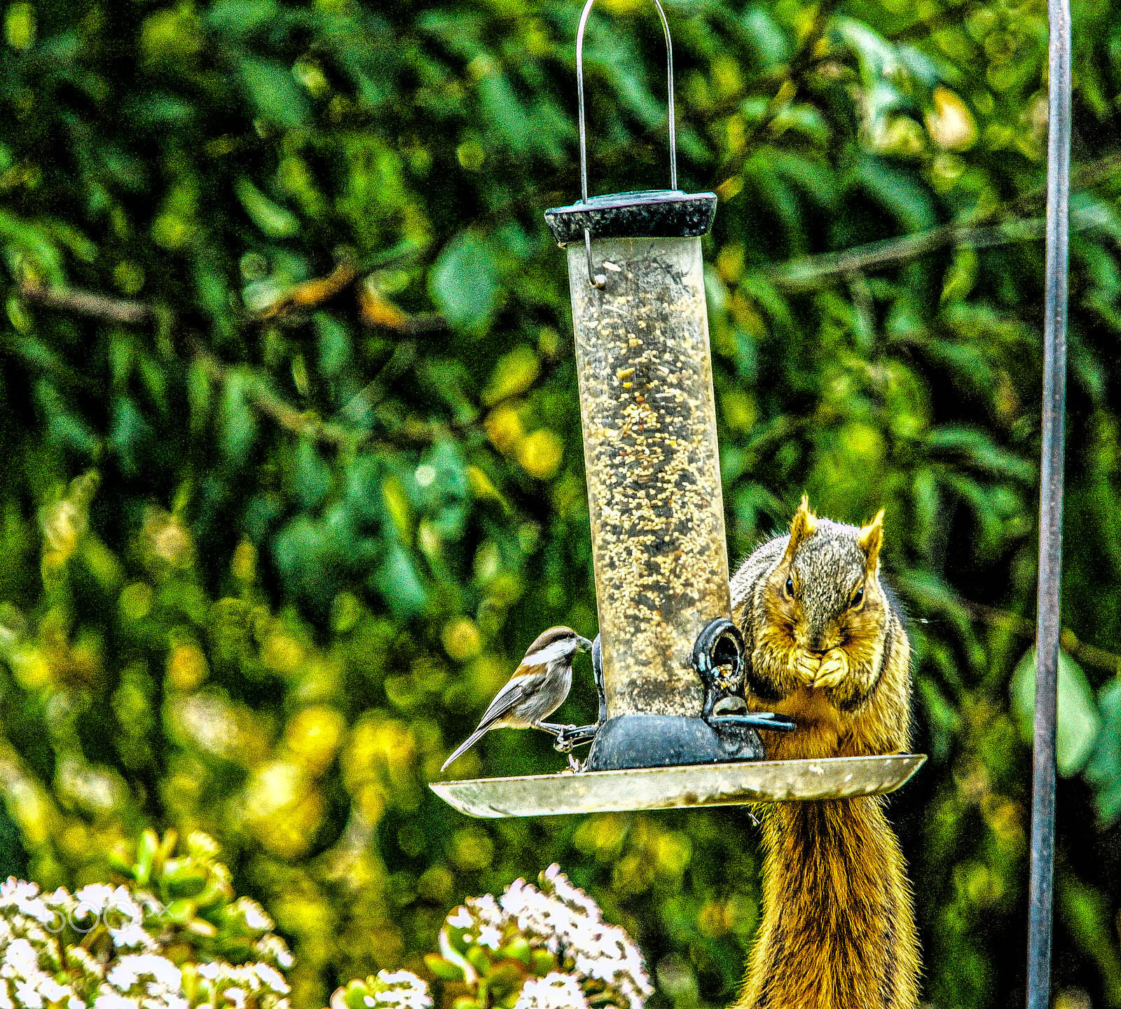Canon EF 70-200mm F4L IS USM sample photo. Sharing photography