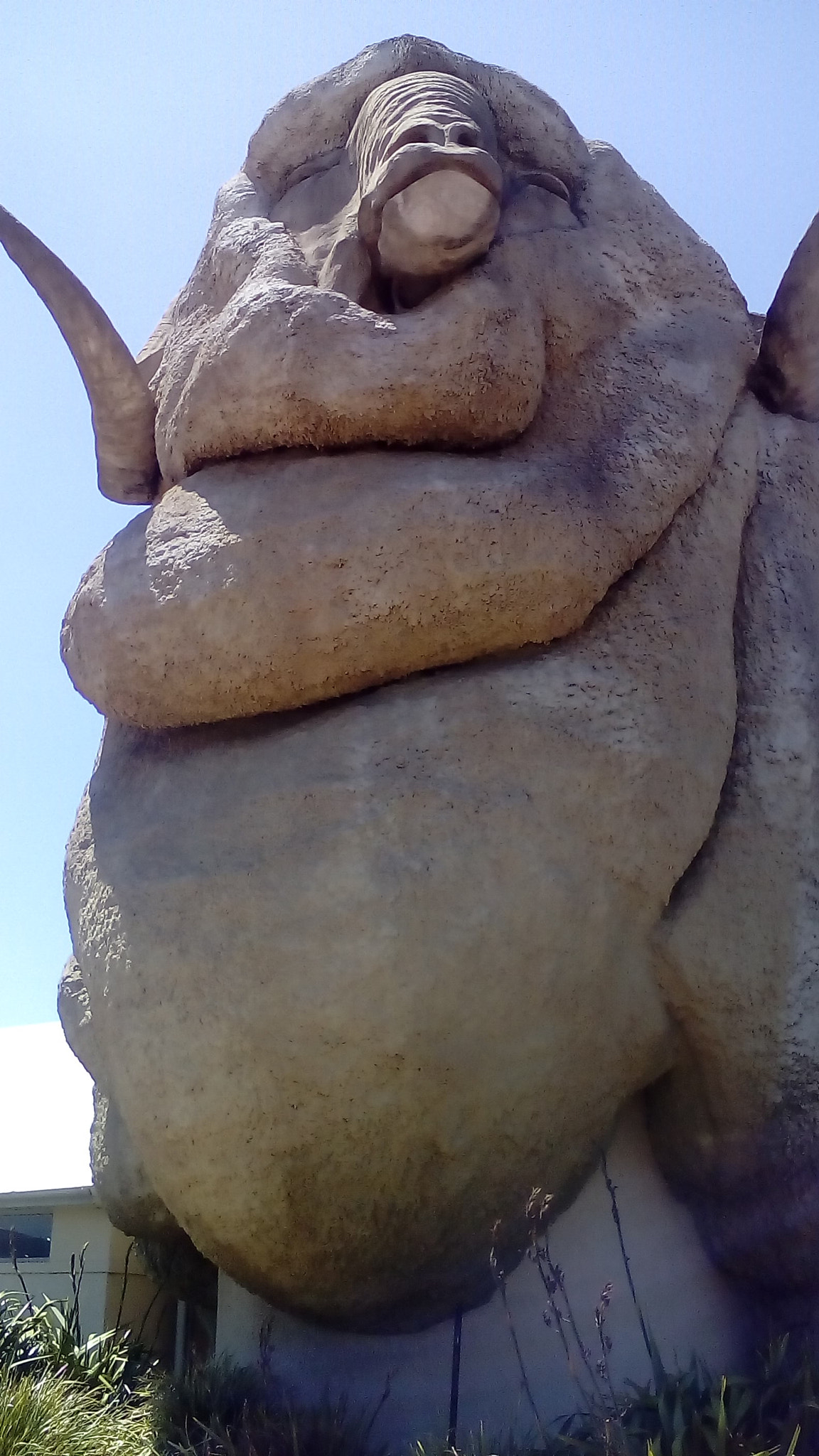 ZTE BLADE Q LUX sample photo. Big merino photography