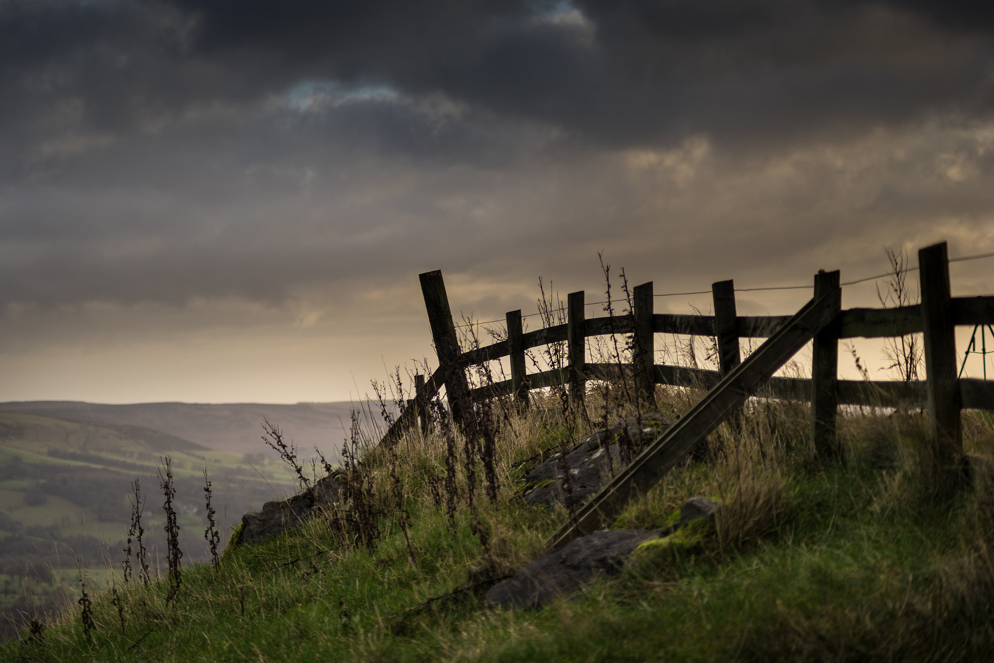 Sony a7 + Minolta AF 70-210mm F4 Macro sample photo. Mam tor photography