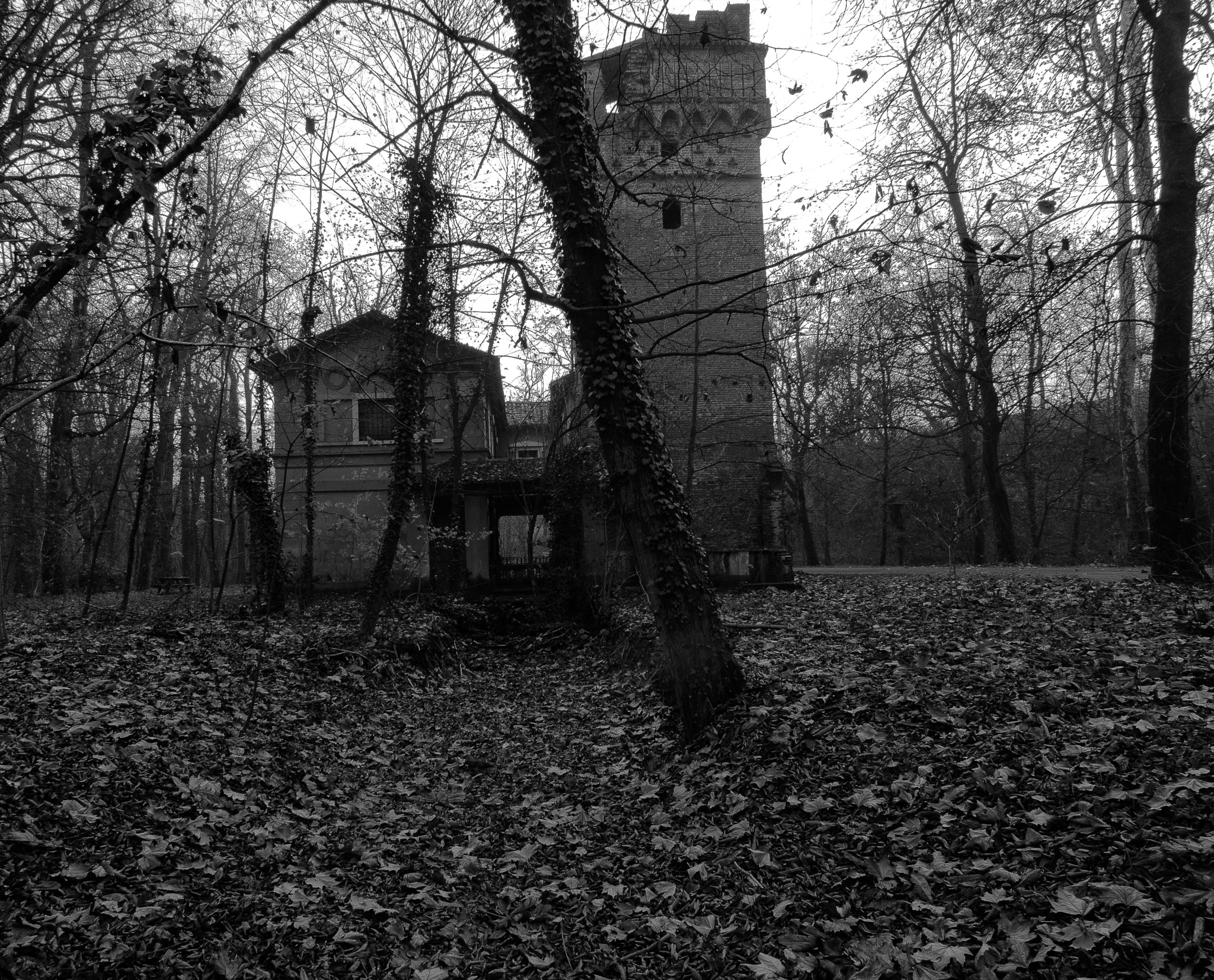 Tokina AT-X Pro 12-24mm F4 (IF) DX sample photo. Ruin photography