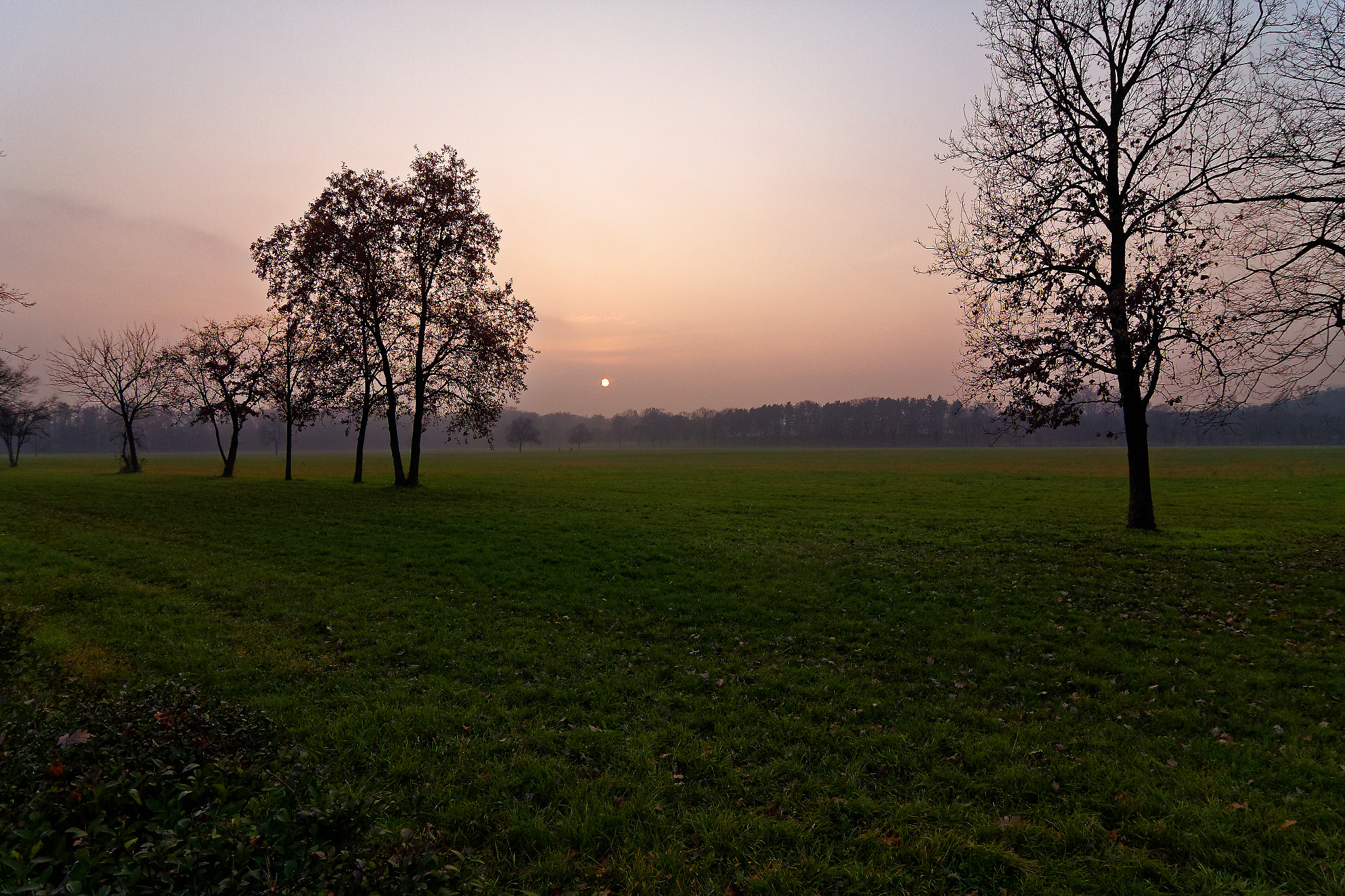 Tokina AT-X Pro 12-24mm F4 (IF) DX sample photo. Sunset photography