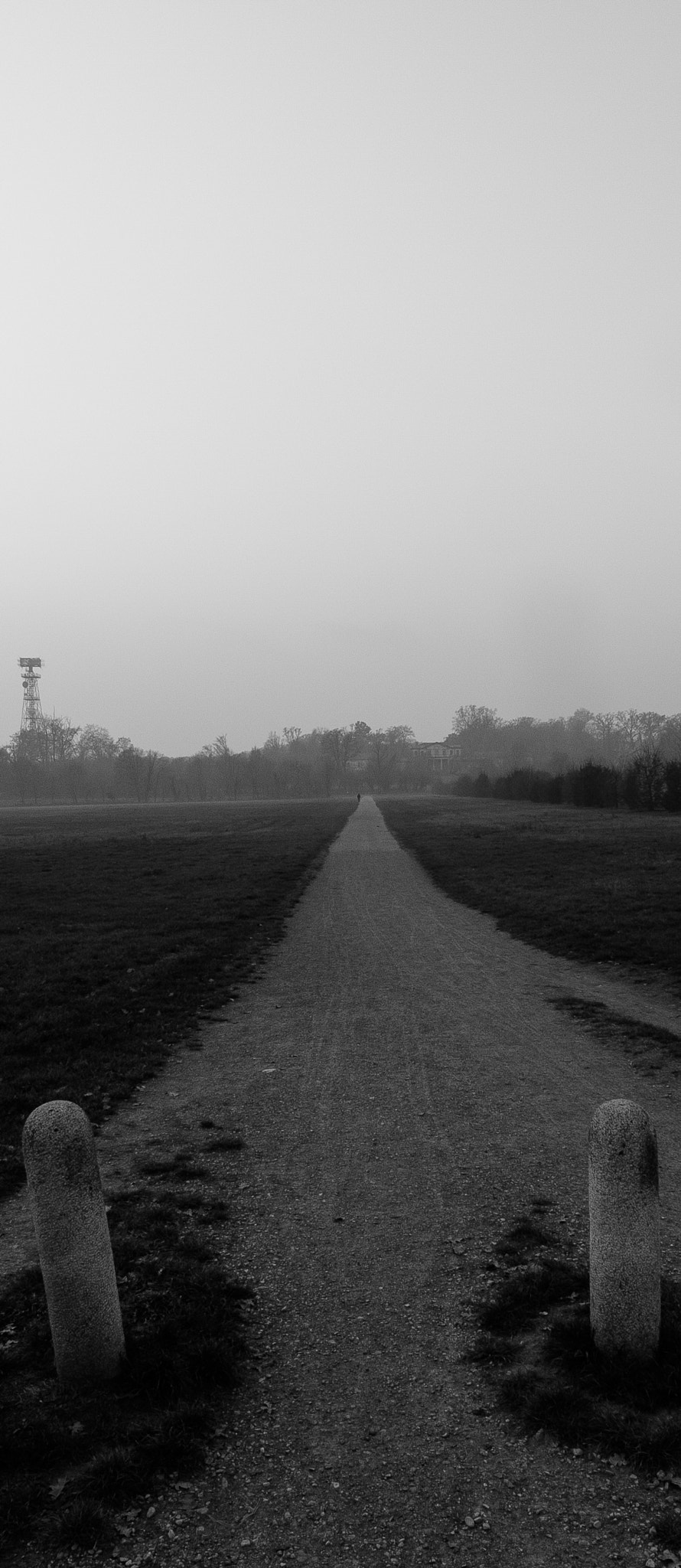 Tokina AT-X Pro 12-24mm F4 (IF) DX sample photo. Viale photography
