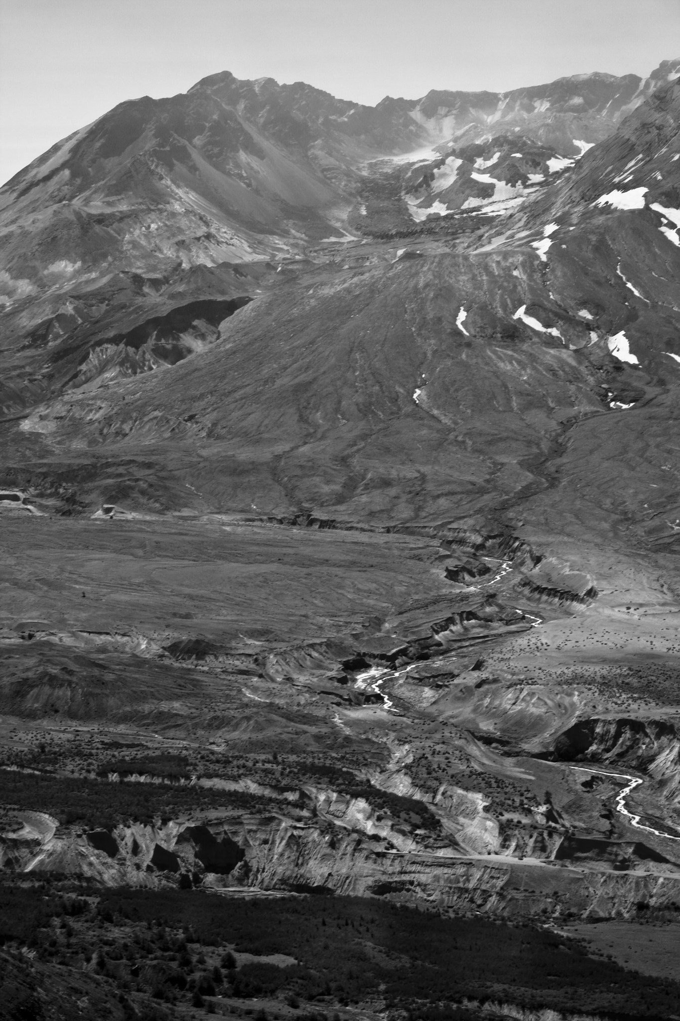 Canon EOS 40D + Canon EF 50mm F2.5 Macro sample photo. Mt. st. helens vertical photography