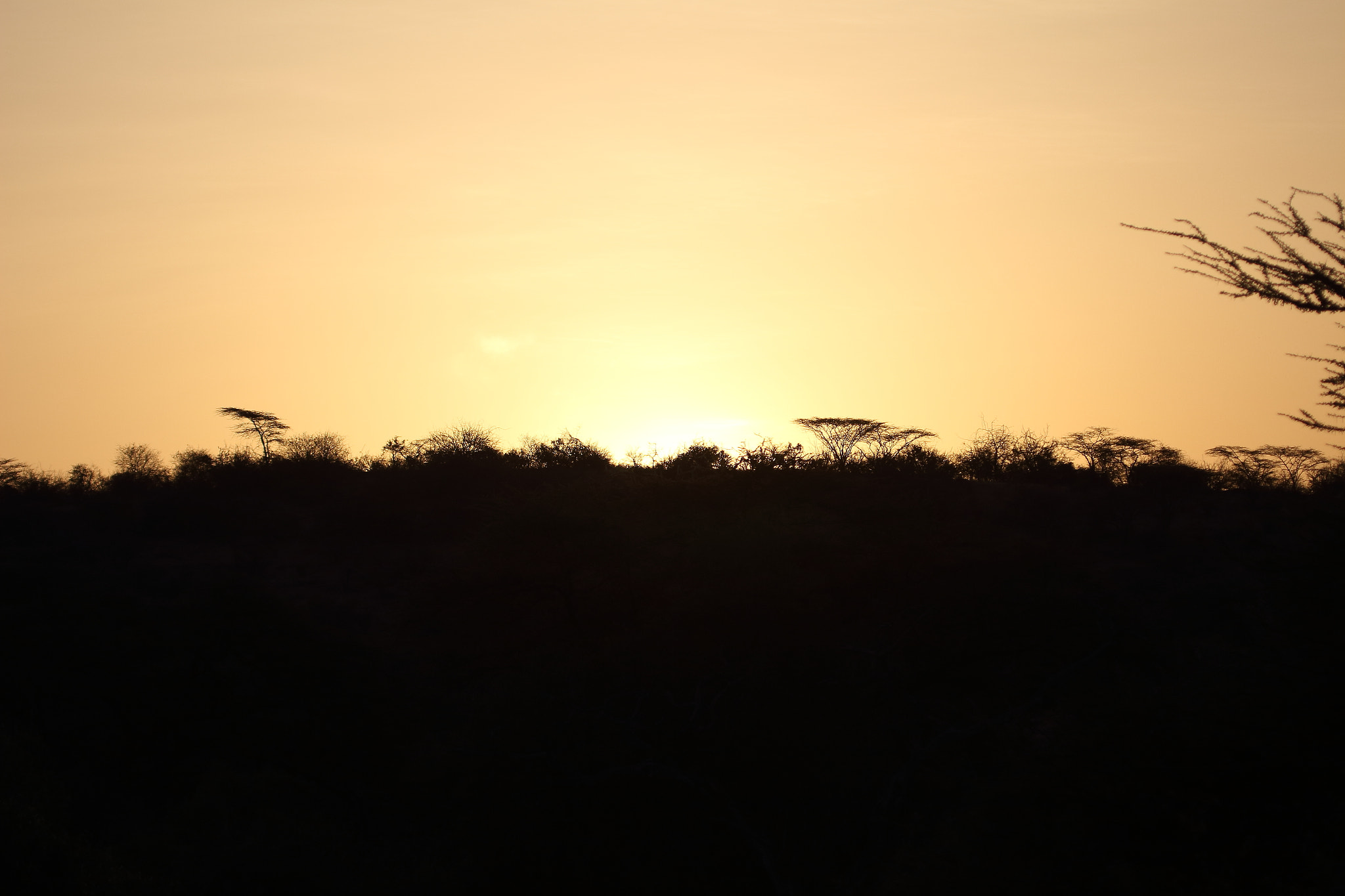 Canon EF 100-400mm F4.5-5.6L IS USM sample photo. African landscape photography
