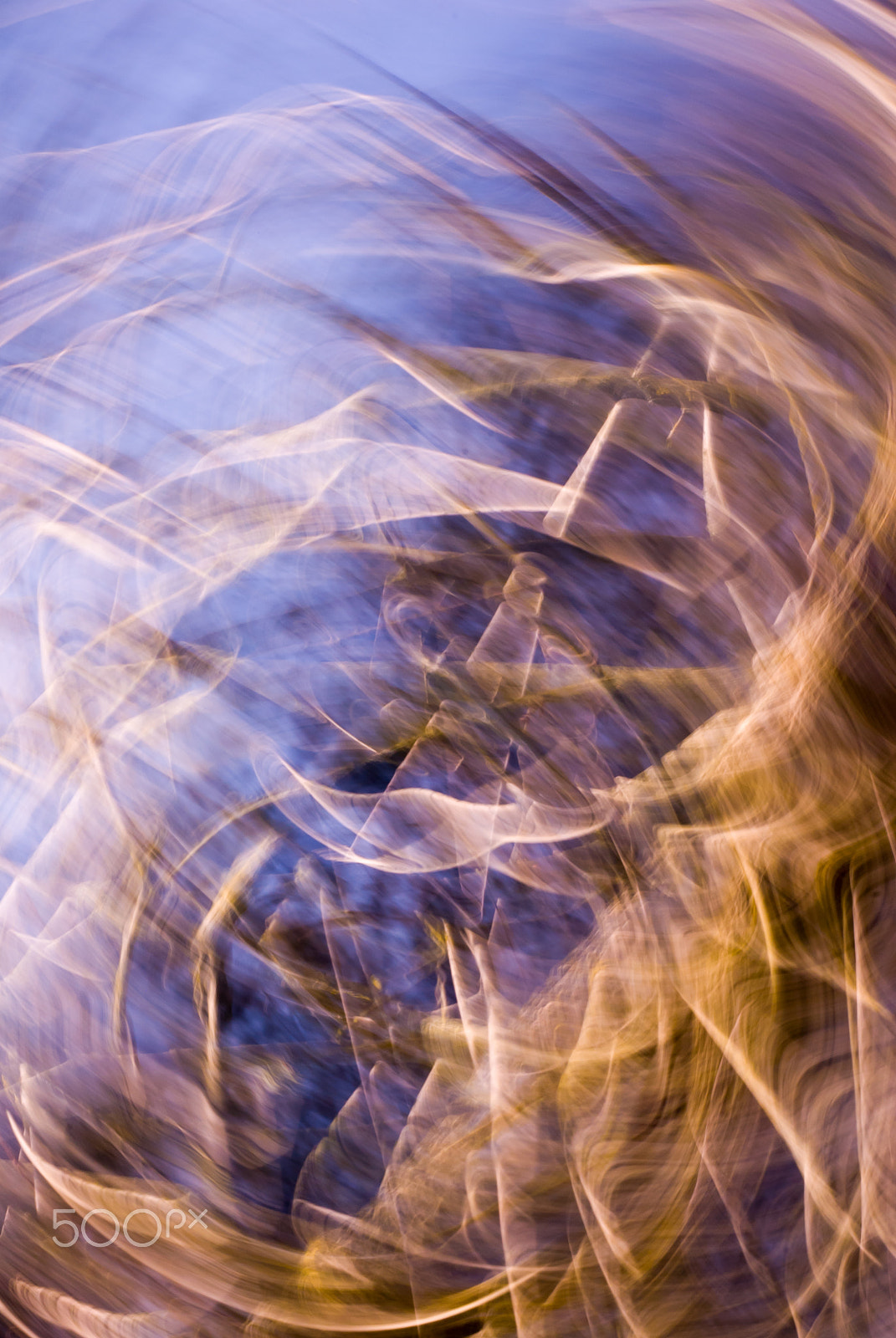 Sigma 150mm F2.8 EX DG Macro HSM sample photo. Delirium photography