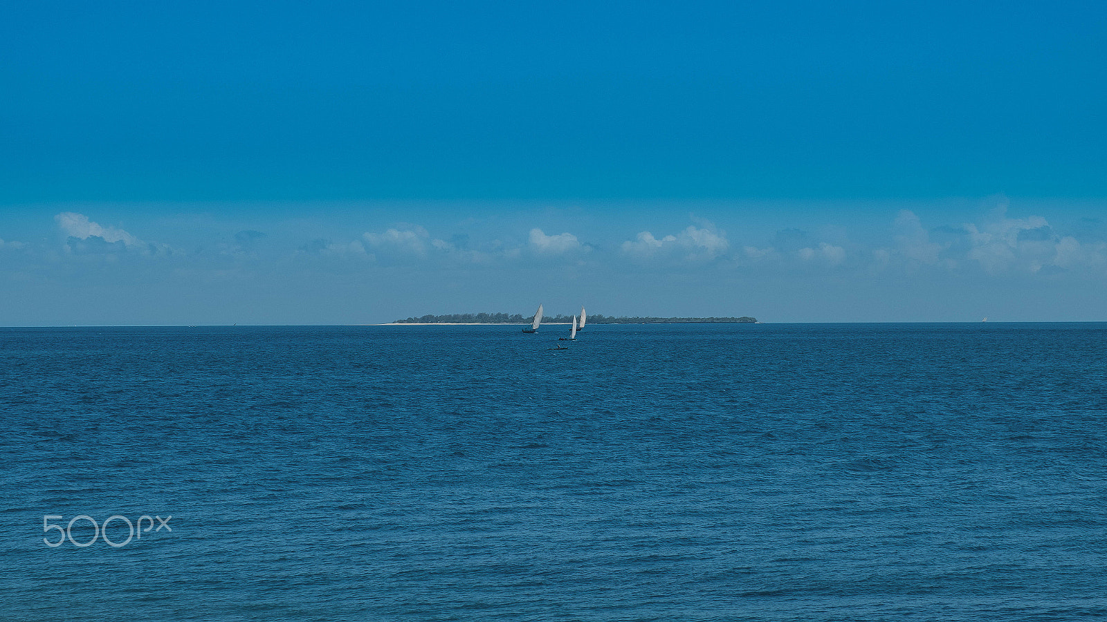 Fujifilm X-Pro1 + Fujifilm XF 16-55mm F2.8 R LM WR sample photo. Zansibar photography