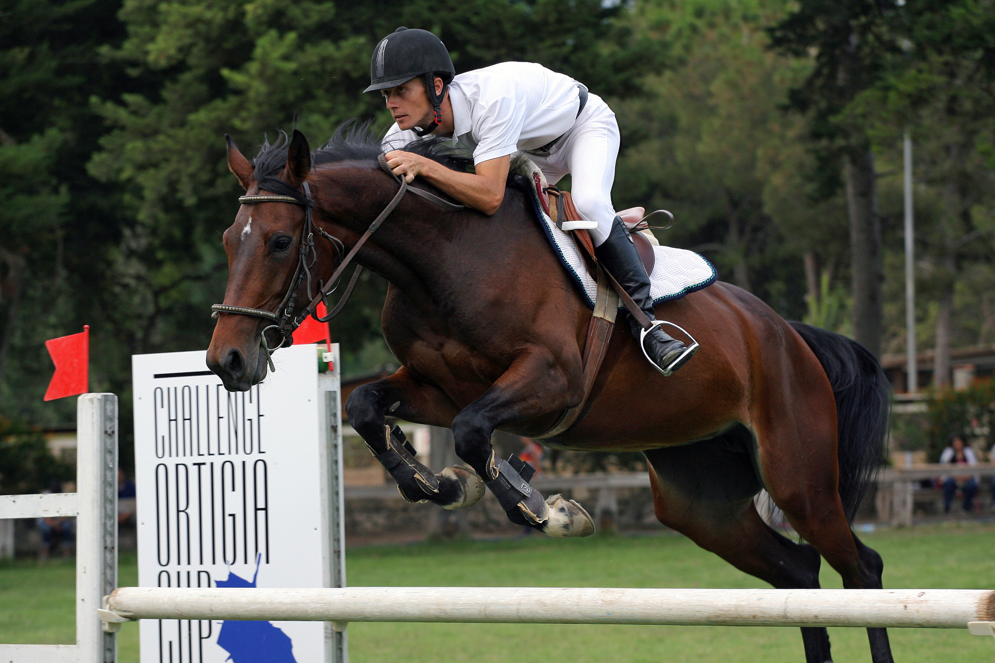 Canon EOS-1D Mark II N sample photo. Jumping race horse photography