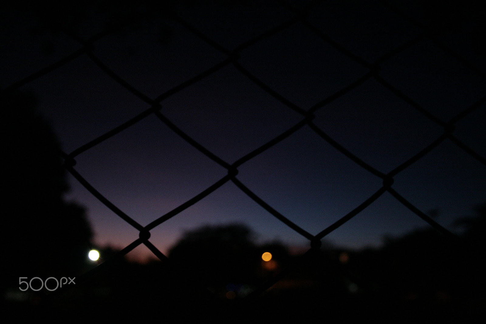 Canon EF-S 18-55mm F3.5-5.6 sample photo. Enredado atardecer photography