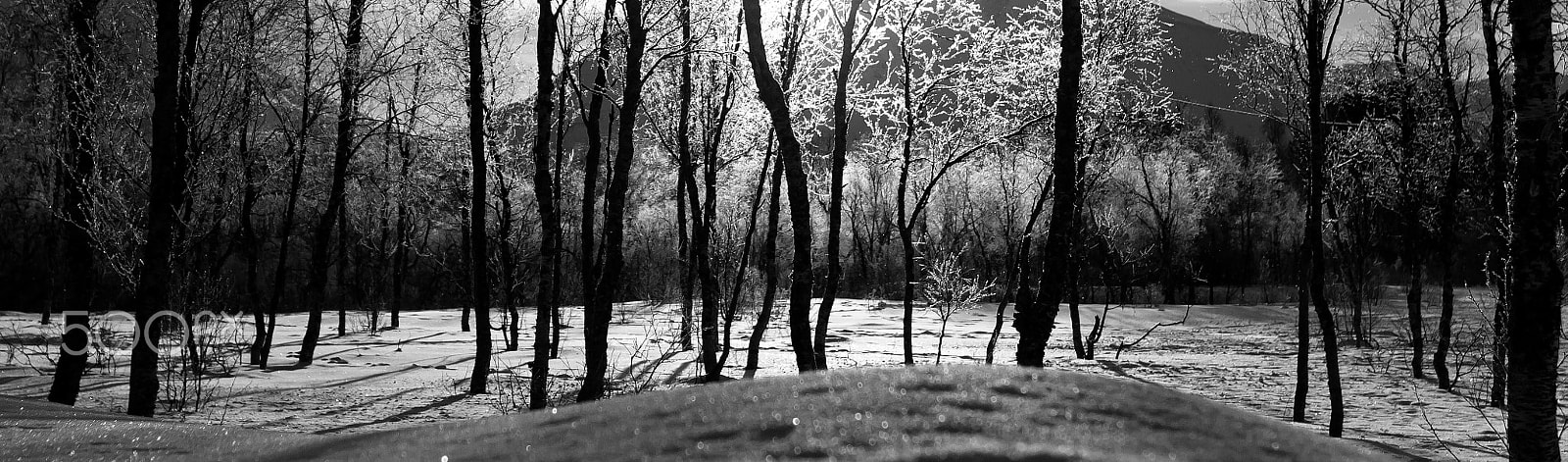 Canon EOS 60D + Canon EF 24mm F2.8 sample photo. Frozen landscape photography