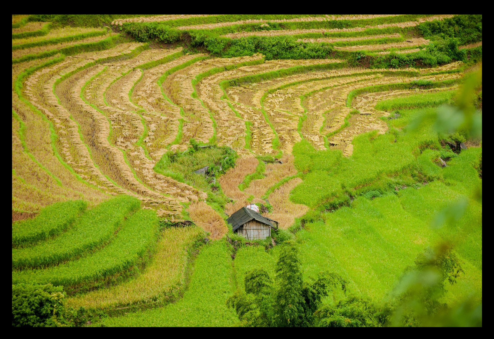 AF-S Zoom-Nikkor 80-200mm f/2.8D IF-ED sample photo. 6.jpg photography