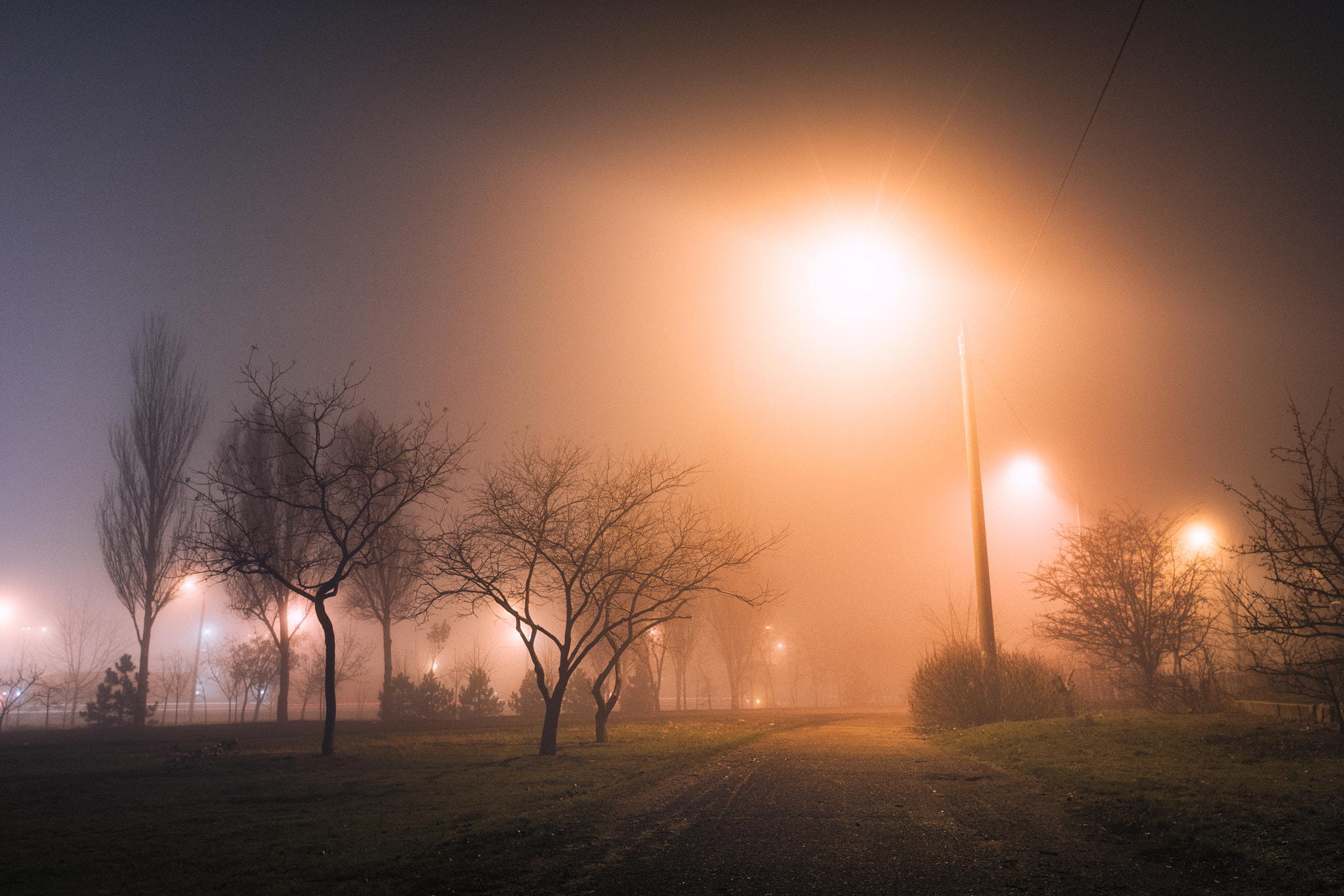 Nikon D7100 + Nikon AF Nikkor 20mm F2.8D sample photo. Winter fog photography