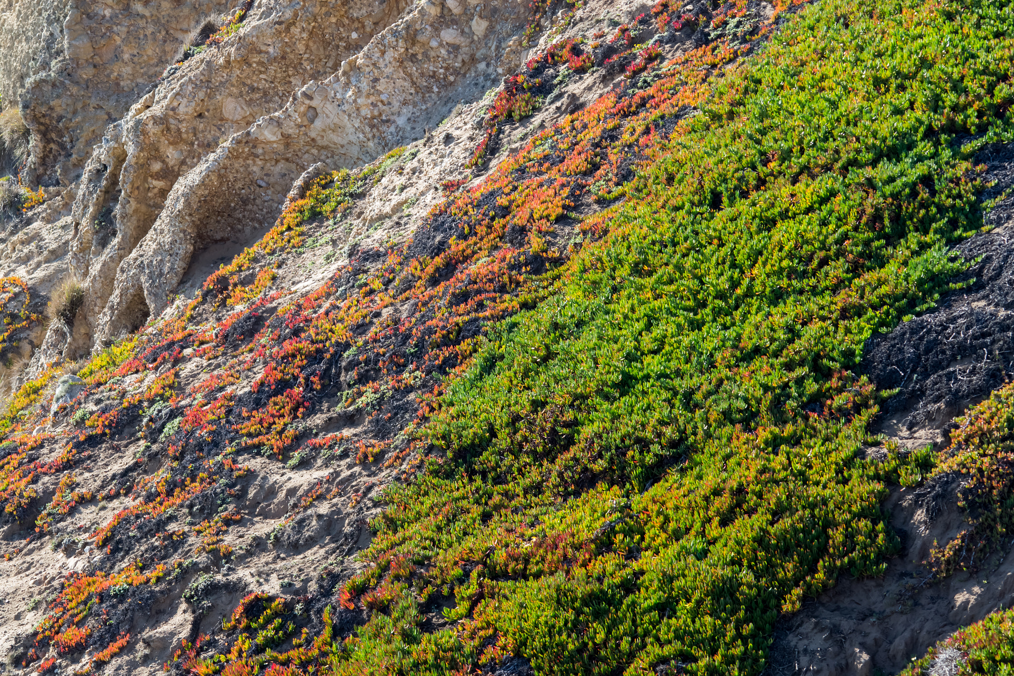 Sigma 150-500mm F5-6.3 DG OS HSM sample photo. Colorful landscapes - 2 photography