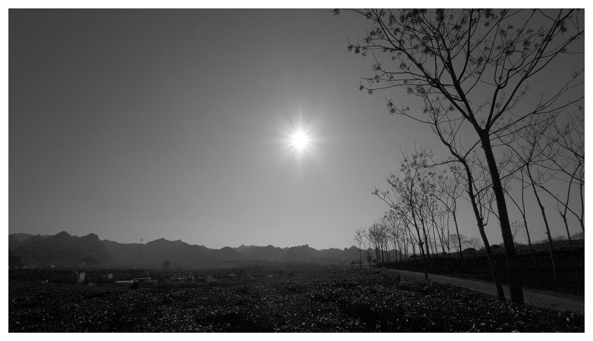 Nikon D2Hs sample photo. Untitled photography