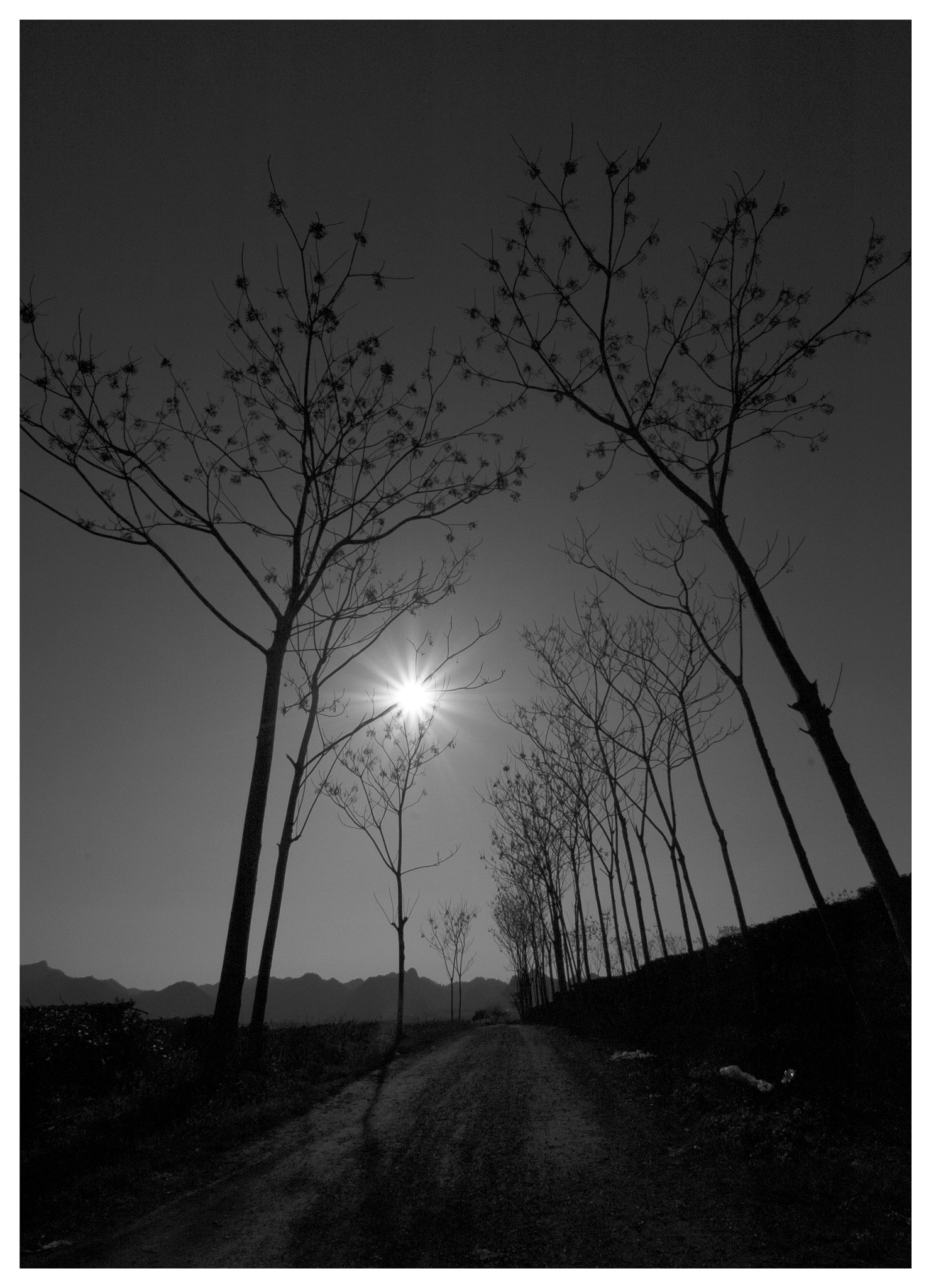 Nikon D2Hs sample photo. Untitled photography