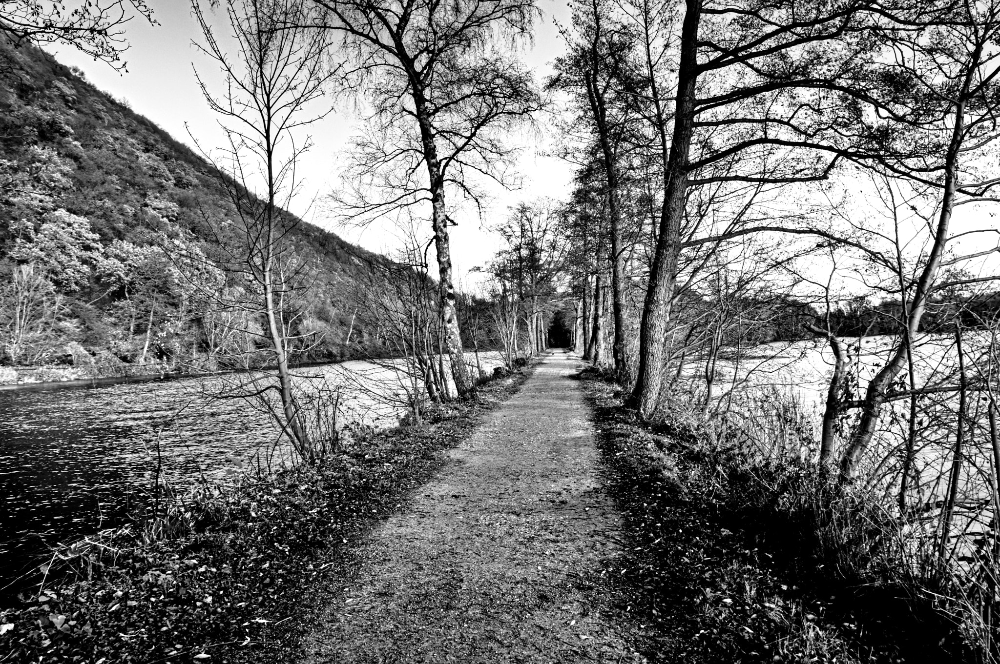 Sony DT 16-105mm F3.5-5.6 sample photo. Dieser weg... photography