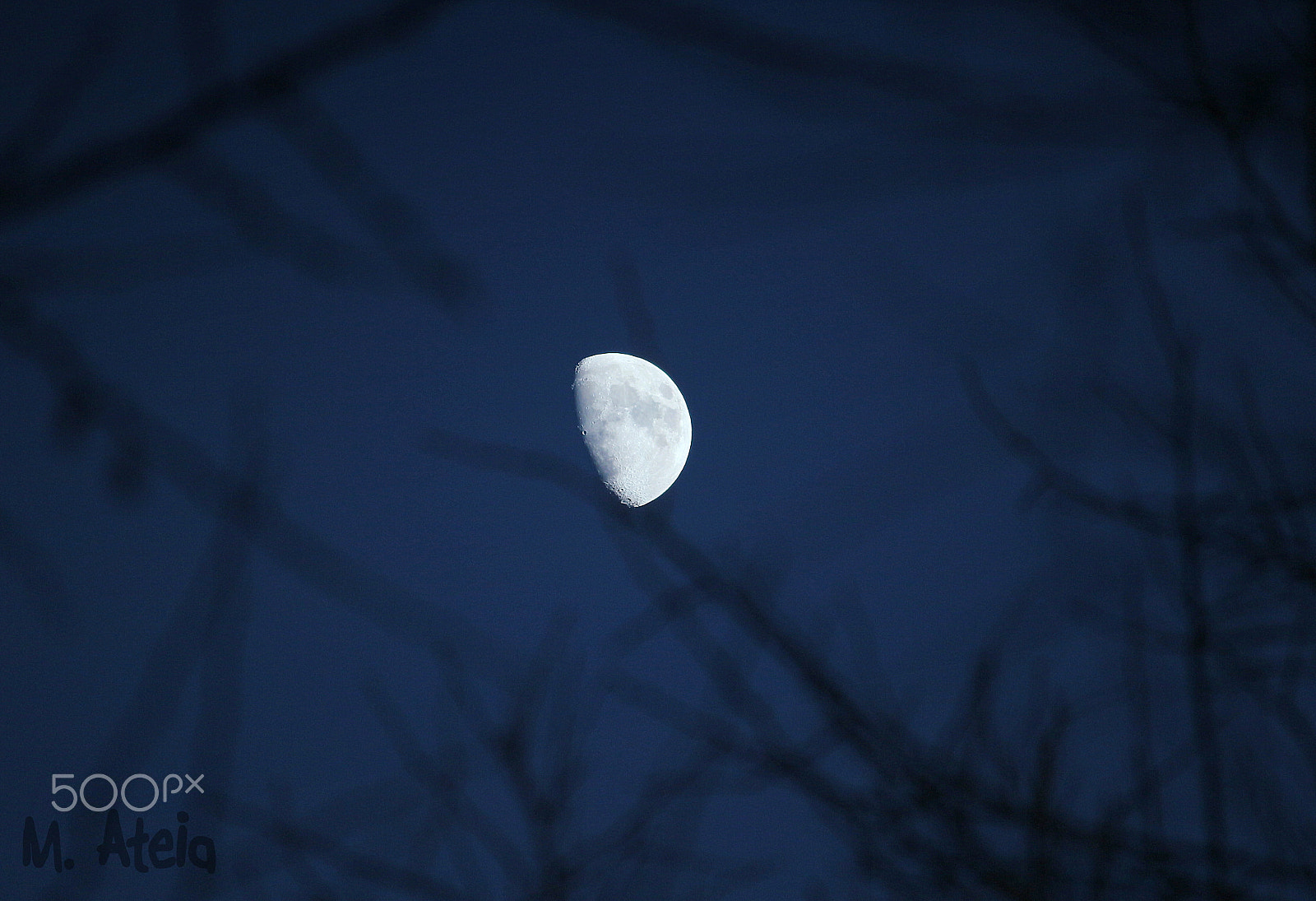 Canon EOS 100D (EOS Rebel SL1 / EOS Kiss X7) + Canon EF-S 55-250mm F4-5.6 IS sample photo. Winter moon photography