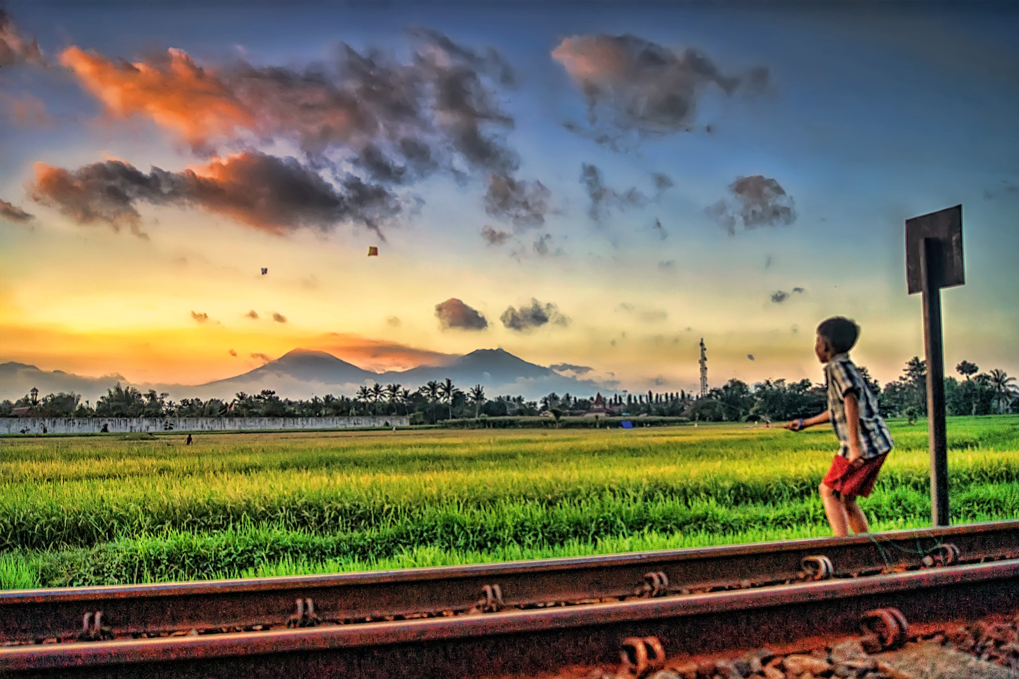 Sony Alpha DSLR-A560 sample photo. Dolan layangan (2) photography