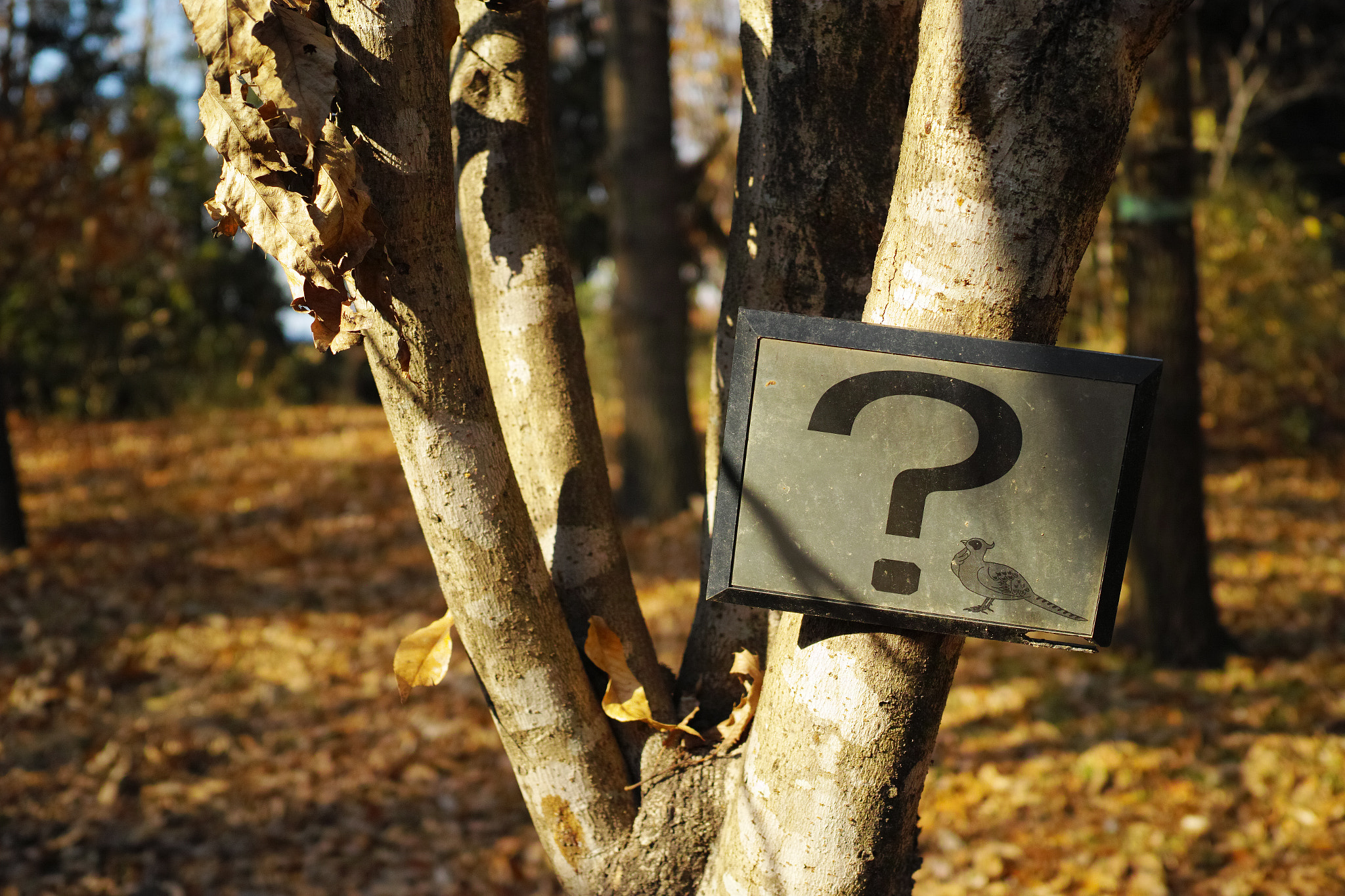 1007 sample photo. [ ? ] photography
