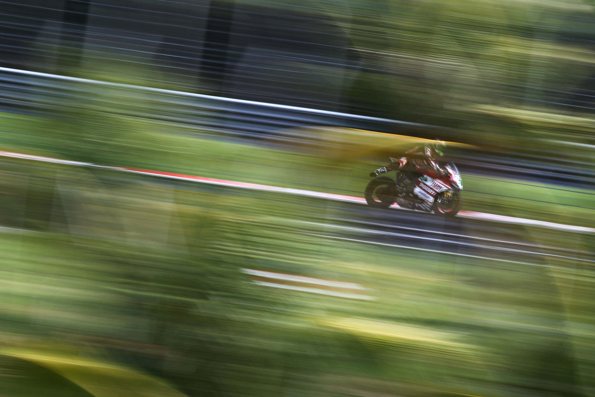 Canon EF 200-400mm F4L IS USM Extender 1.4x sample photo. Davide giugliano photography