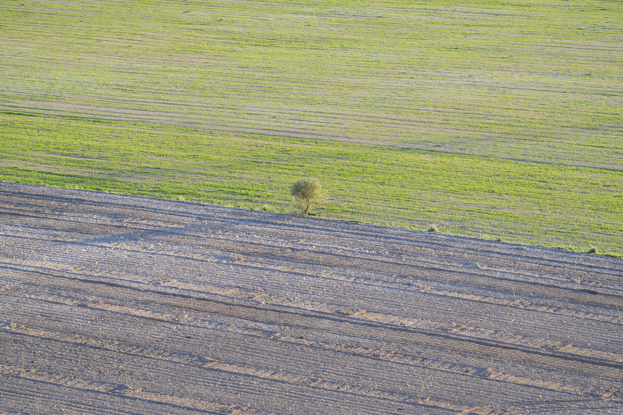 Nikon AF-S Nikkor 70-200mm F4G ED VR sample photo. Entremedias photography