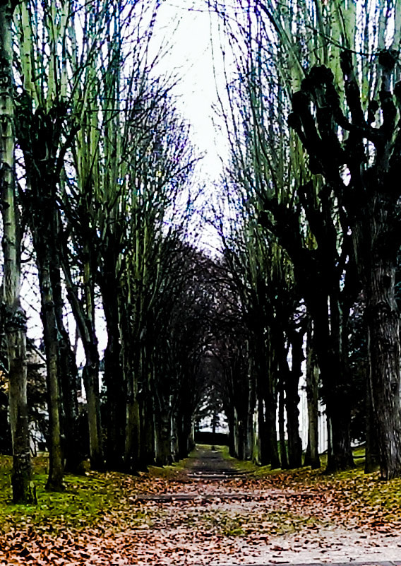 HTC ONE MINI sample photo. Chambourcy photography