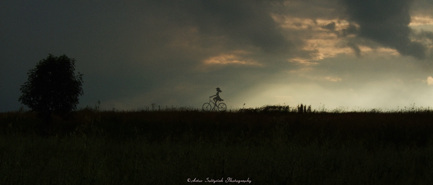 Fujifilm FinePix F40fd sample photo. A midsummer night's dream.... photography