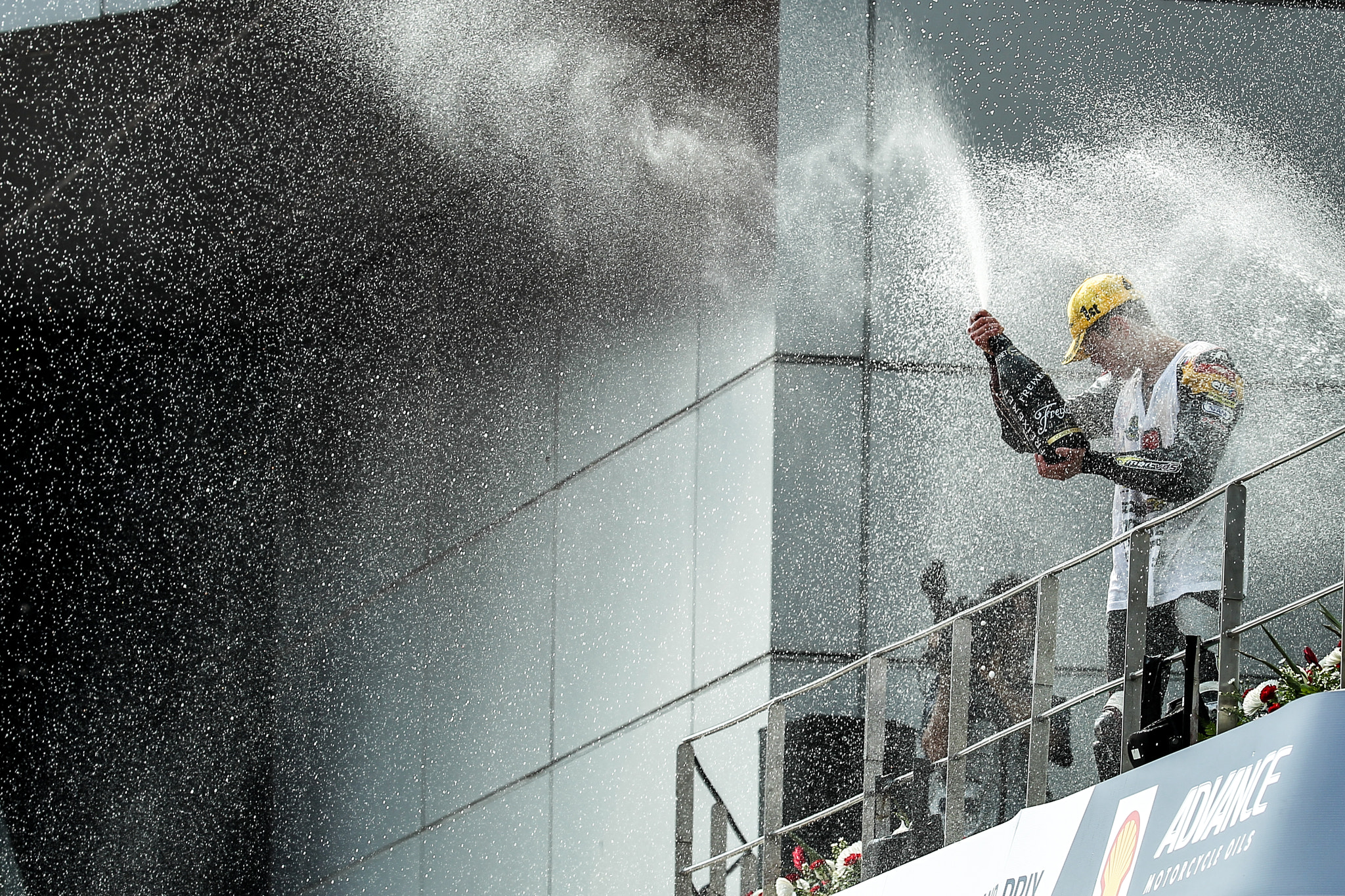 Canon EF 200-400mm F4L IS USM Extender 1.4x sample photo. Tito rabat photography