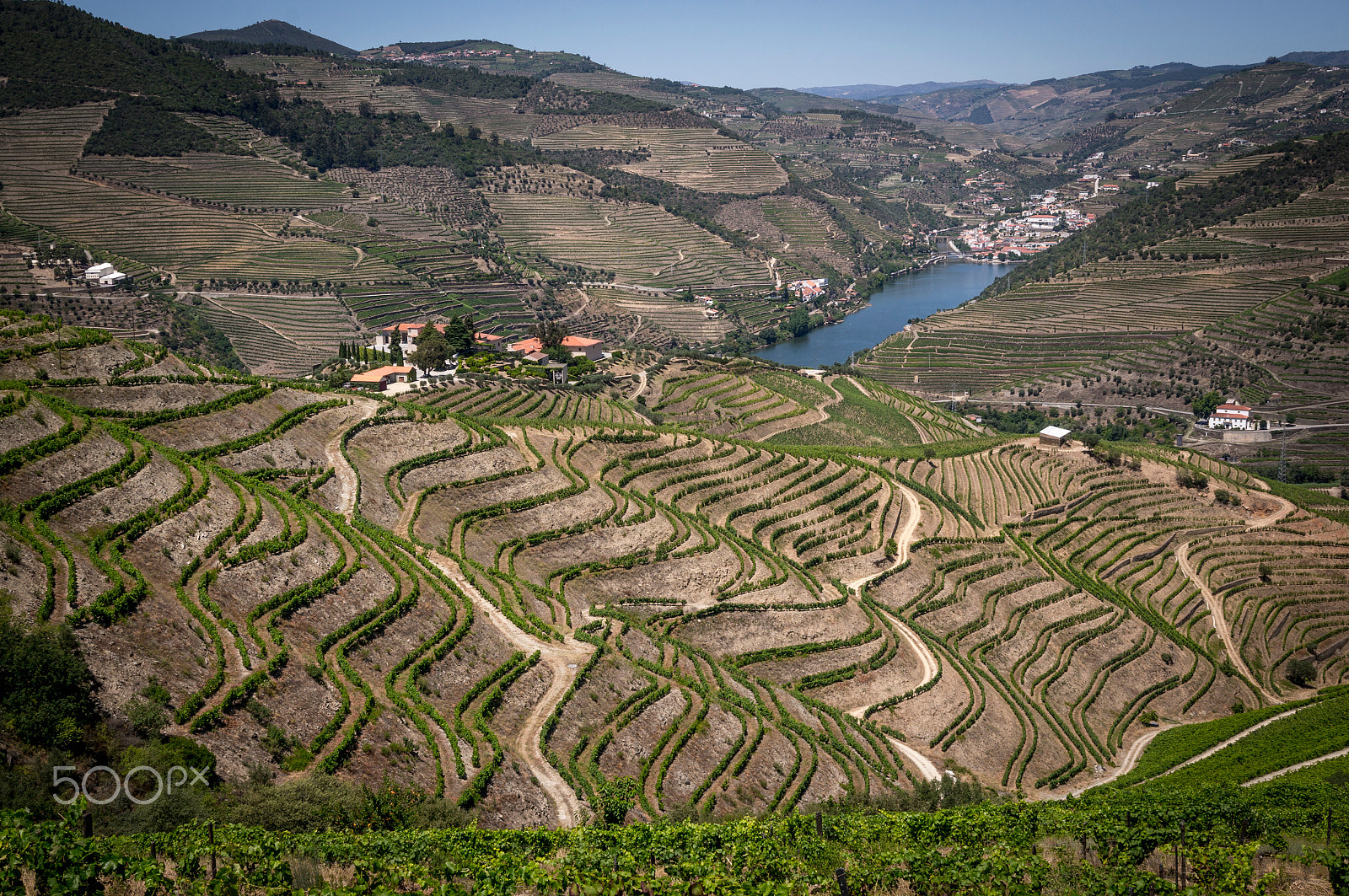 Sony Alpha NEX-6 + Sigma 30mm F2.8 EX DN sample photo. Douro valley.jpg photography