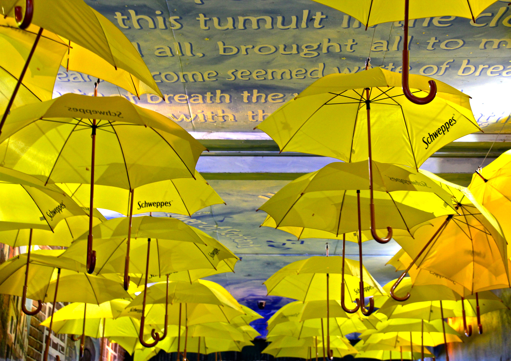 Sigma 18-125mm F3.8-5.6 DC OS HSM sample photo. Belfast umbrellas photography