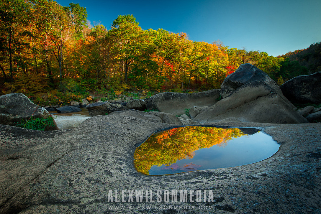 Nikon D610 + Sigma 20mm F1.8 EX DG Aspherical RF sample photo. Fall on the cheat photography