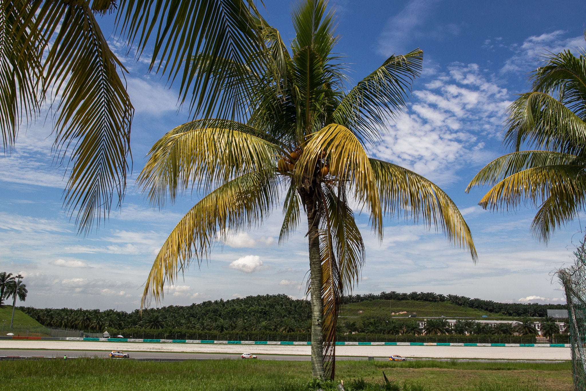 Canon EF 24mm F1.4L II USM sample photo. Sepang 1000km photography