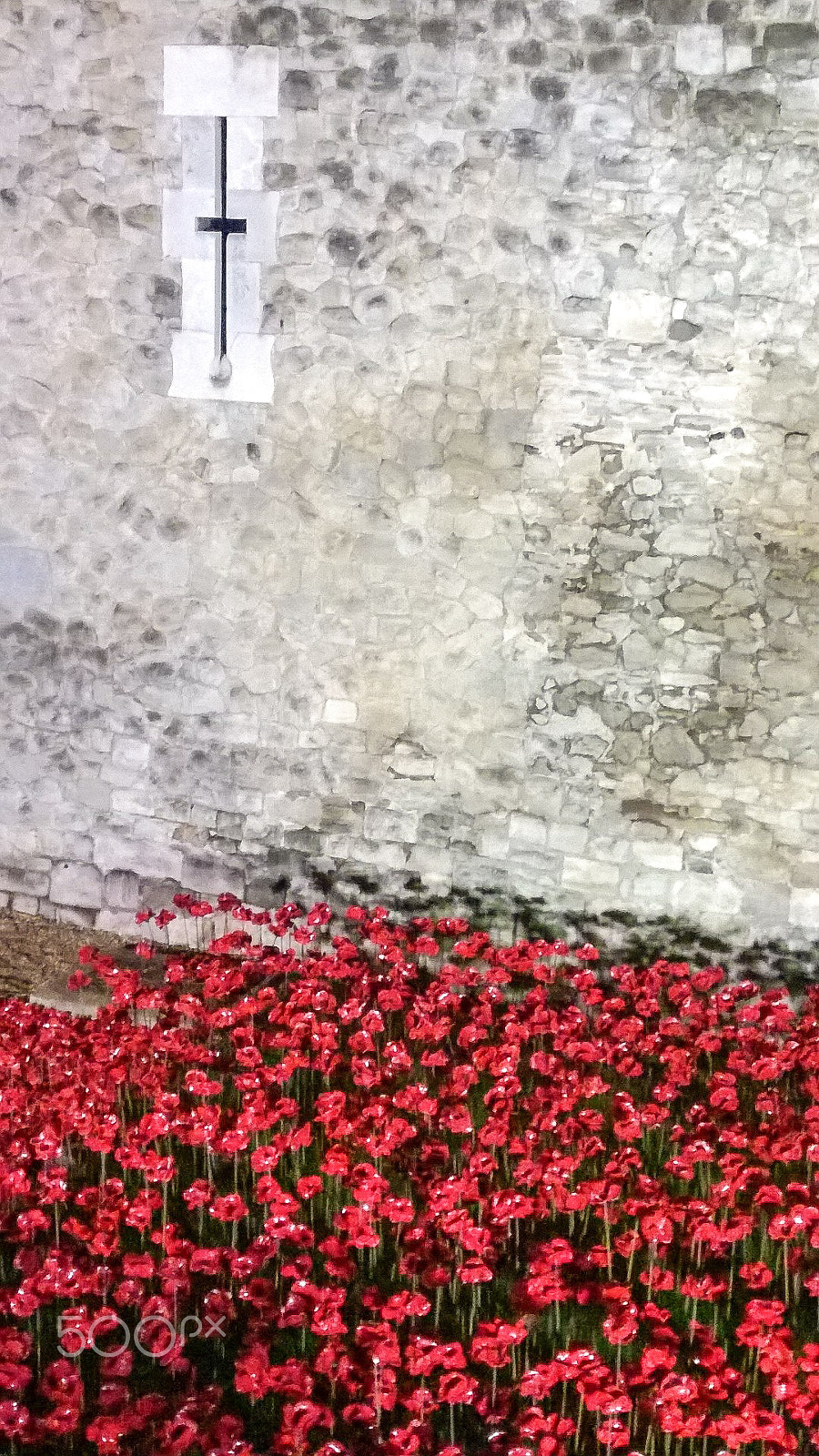 Nokia Lumia 930 sample photo. Poppies in the tower photography